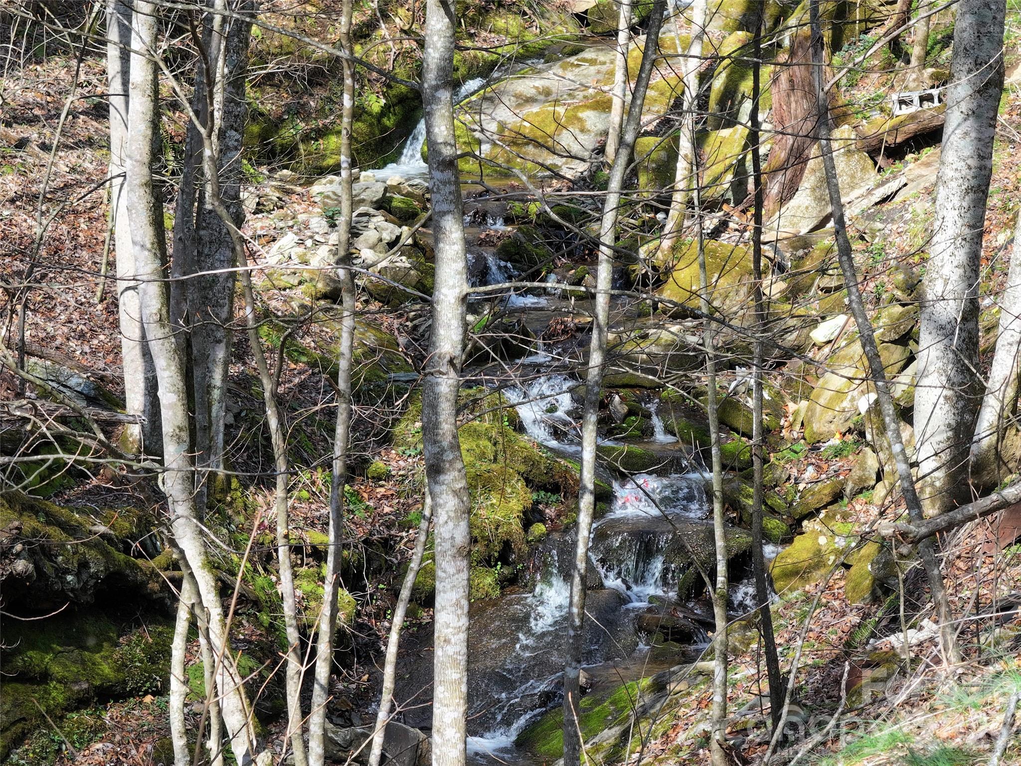1002 Ned Cove Road Property Photo 11