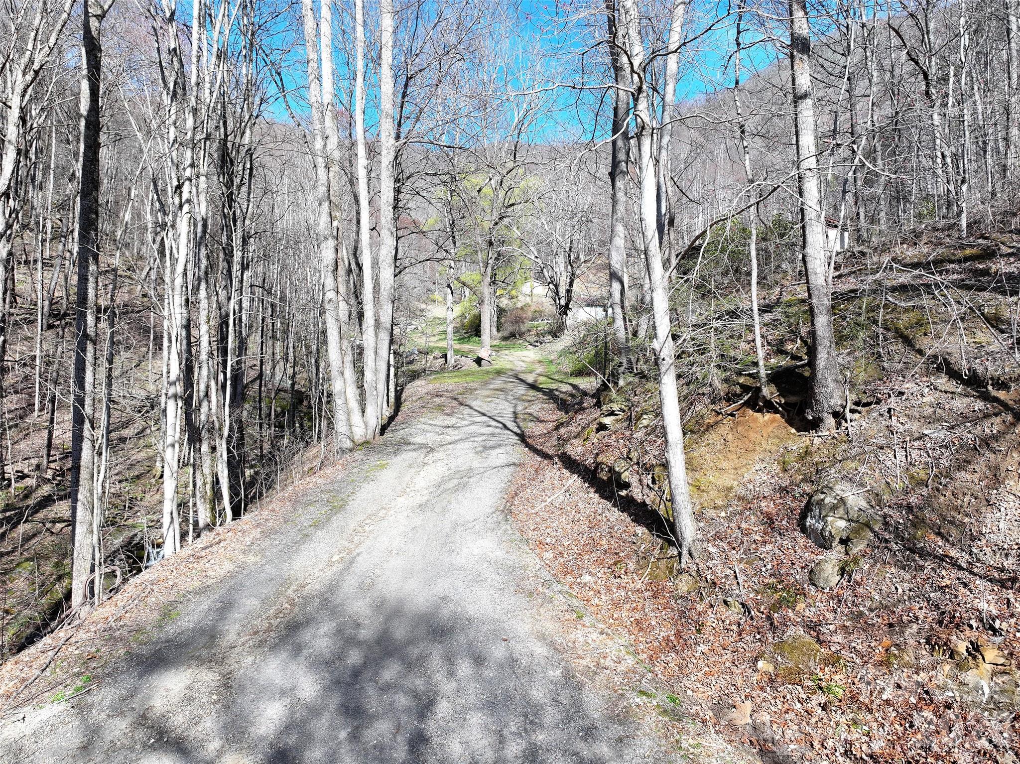 1002 Ned Cove Road Property Photo 15