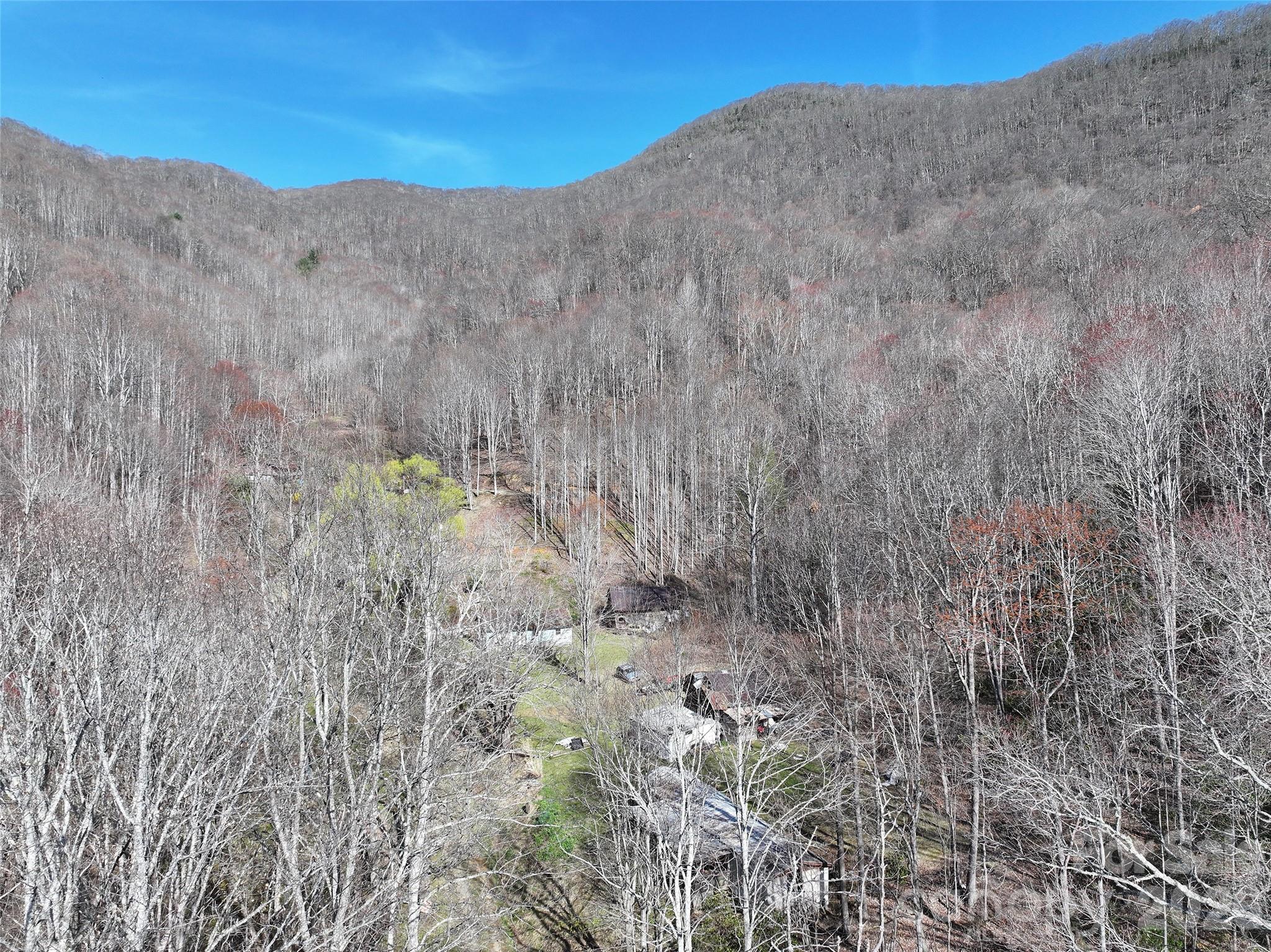 1002 Ned Cove Road Property Photo 16