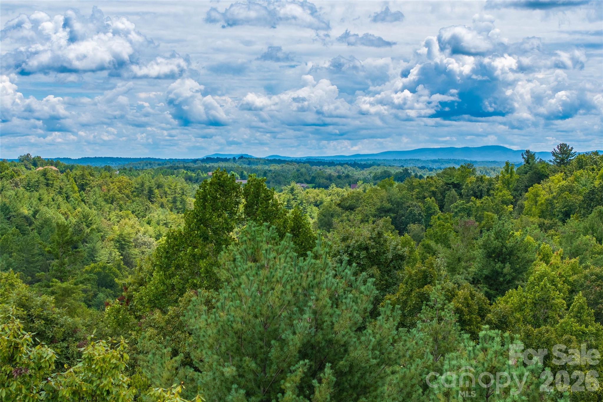 5.5 Acres Dogwood Way 840a Property Photo 1