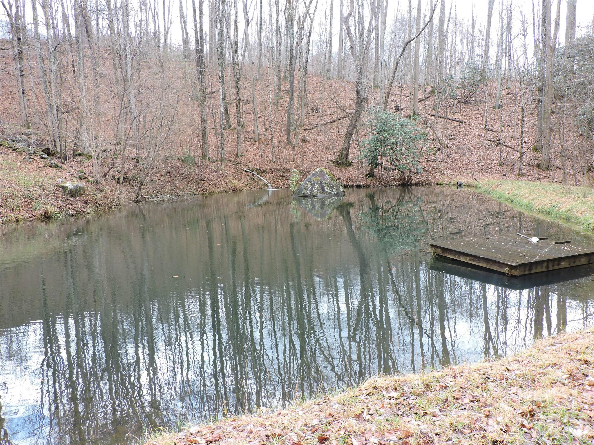 191 Bens Bend Property Photo 9