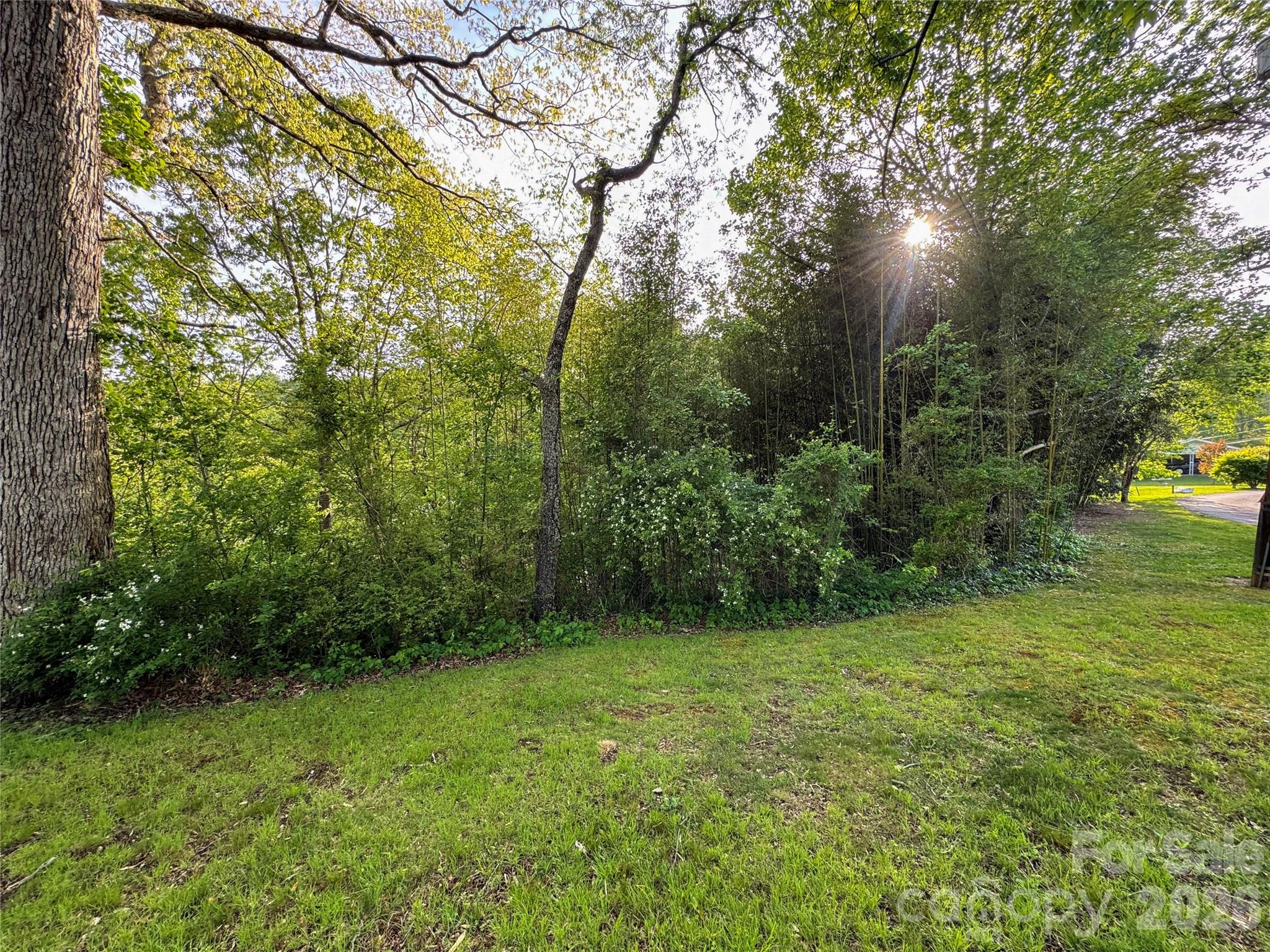 70 Winchester Drive Property Photo 19