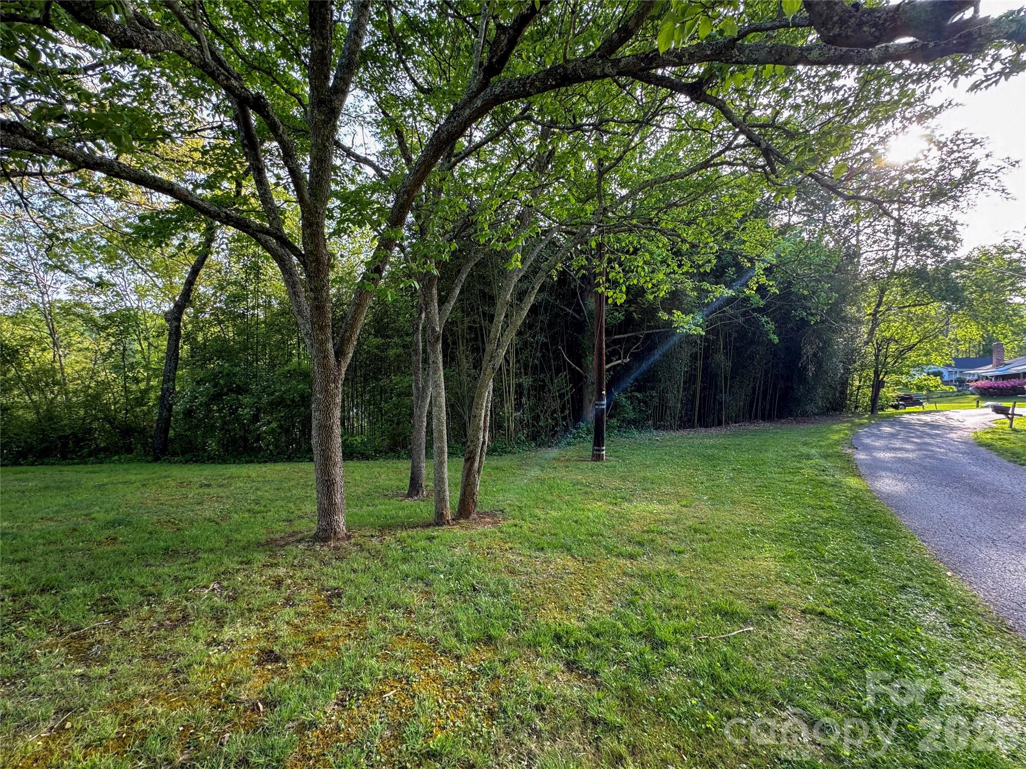 70 Winchester Drive Property Photo 21