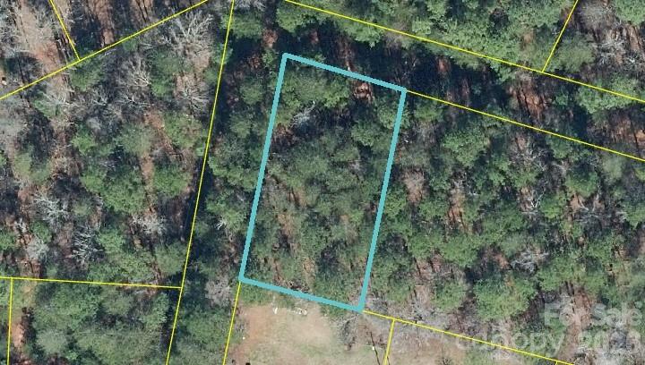 0 Long Creek Road Property Photo 1