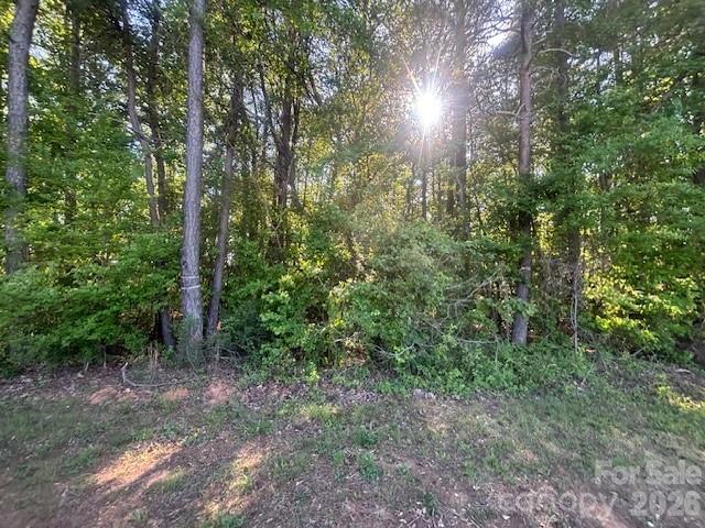 18001 Davidson Concord Road Property Photo 2