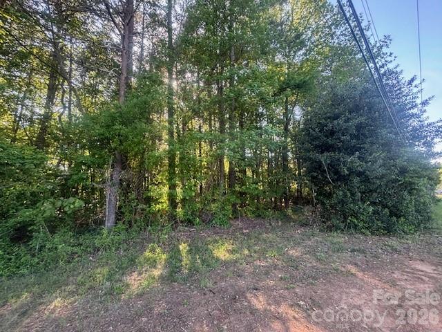 18001 Davidson Concord Road Property Photo 3
