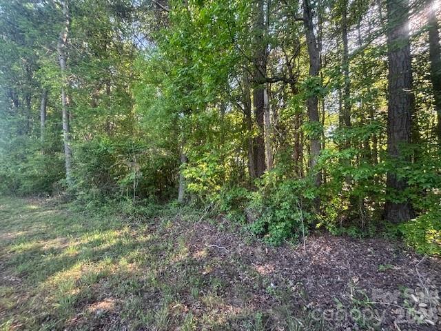 18001 Davidson Concord Road Property Photo 4