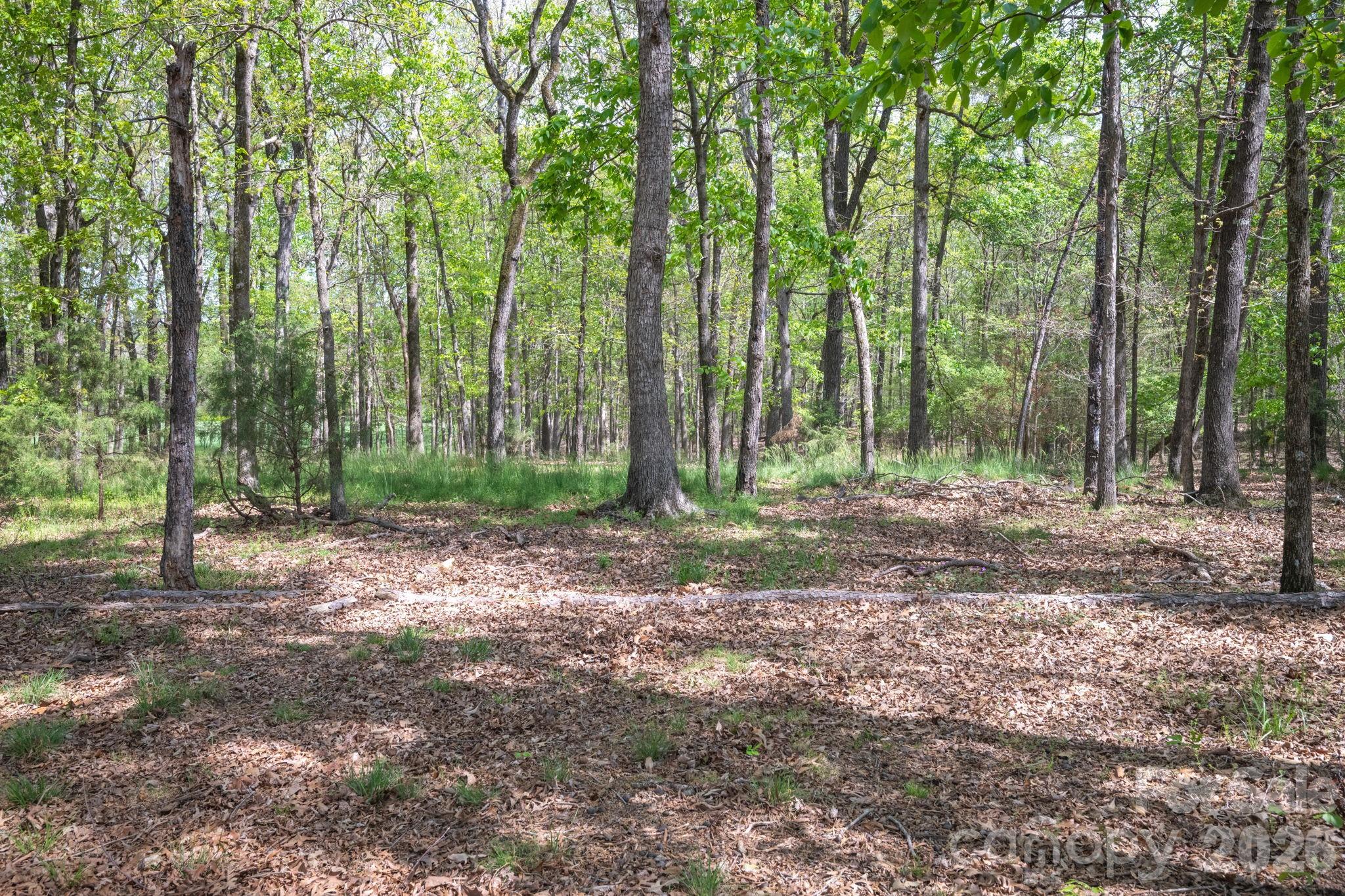 824 N Forest Hills School Road Property Photo 47