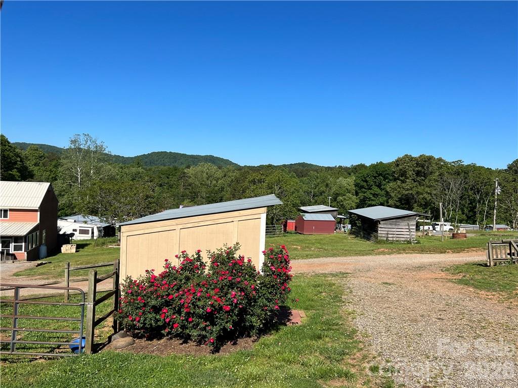 105 Filly Trail Property Photo 3