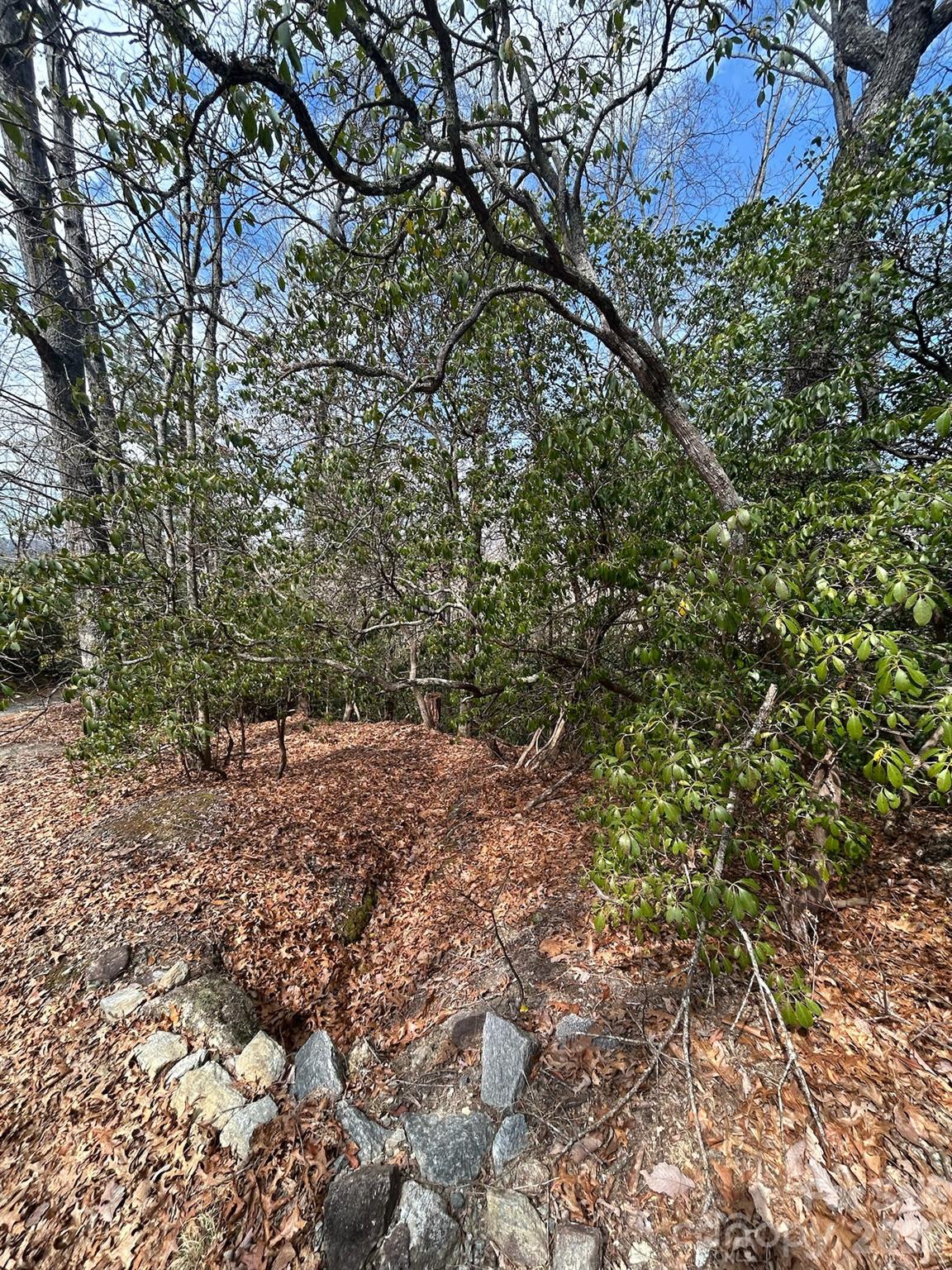 Lot 37 High Peak Road Property Photo 2