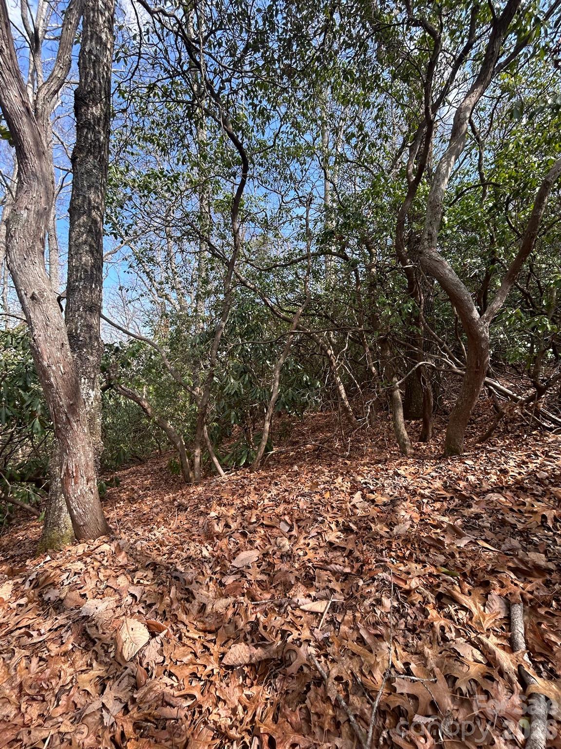 Lot 37 High Peak Road Property Photo 4