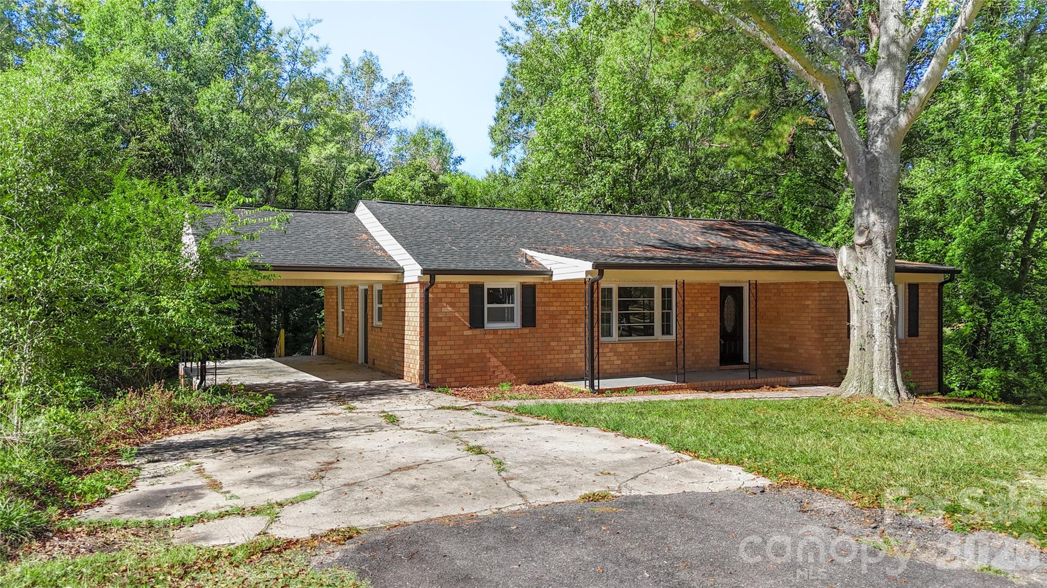 1428 Boxwood Avenue Property Photo 3