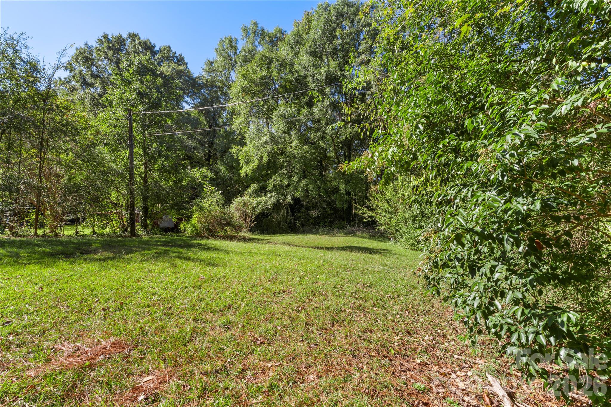 1428 Boxwood Avenue Property Photo 39