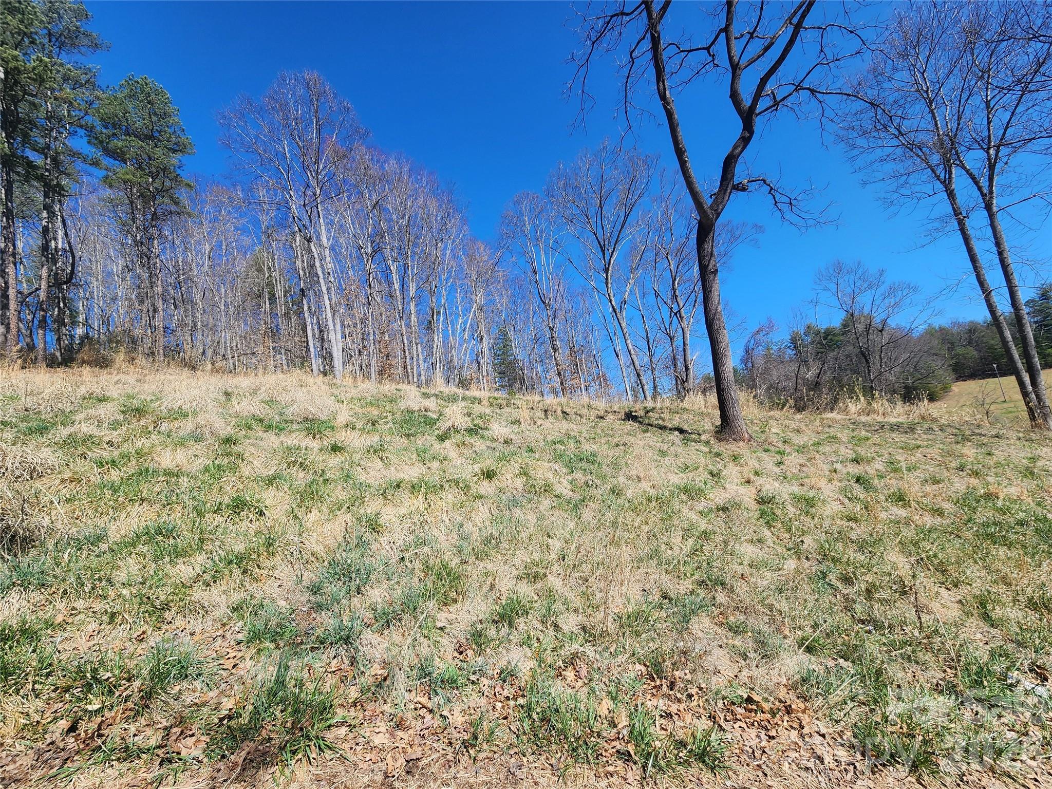9999 Country Drive Property Photo 3