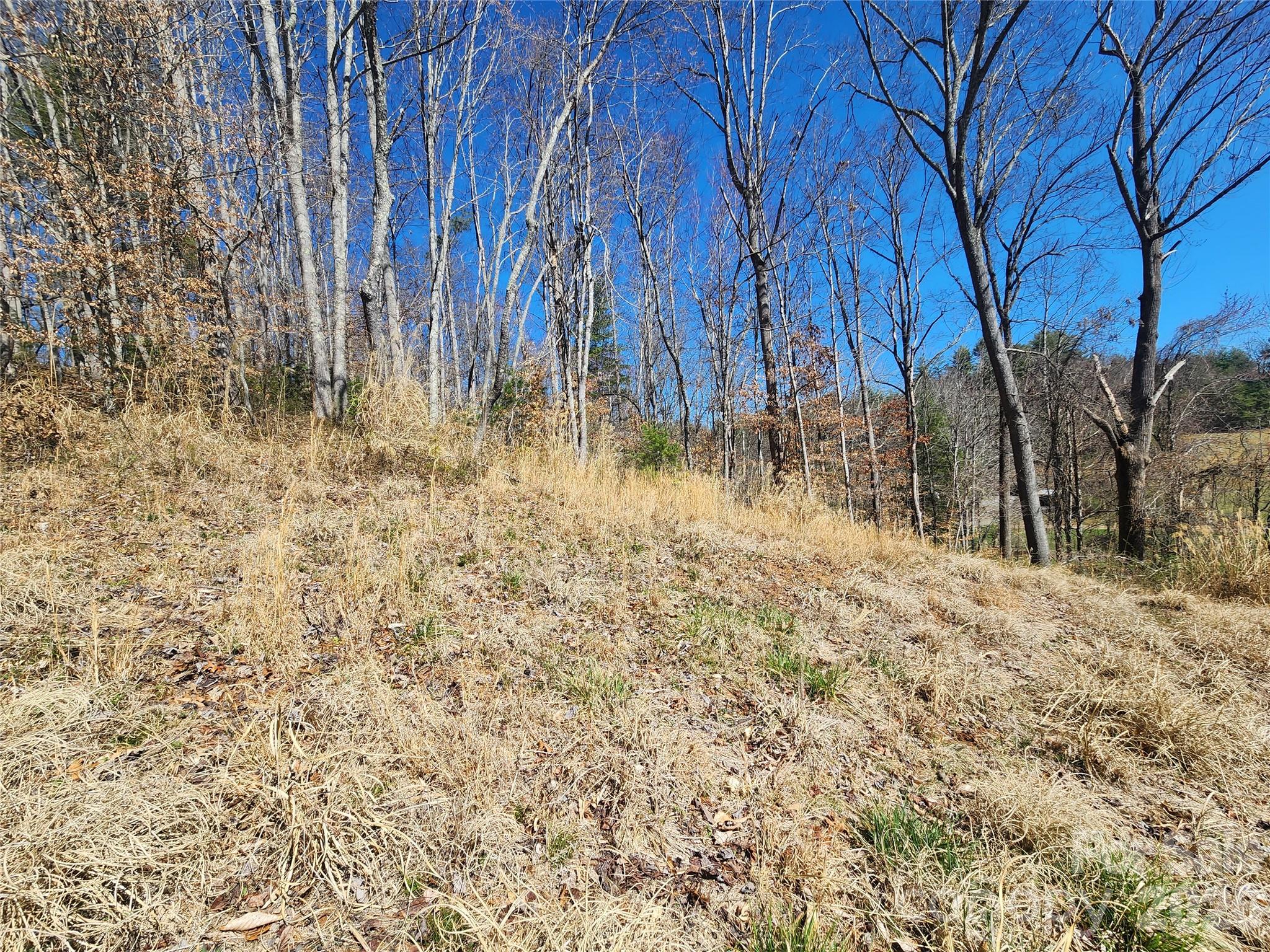 9999 Country Drive Property Photo 6