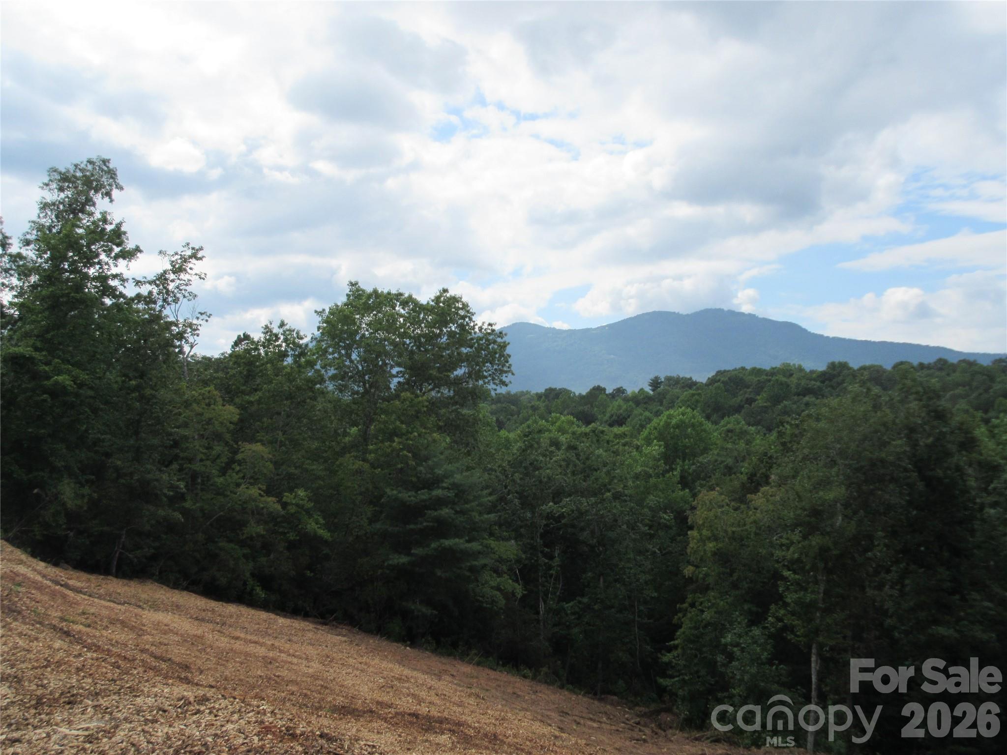 0 Levi Road Property Photo 2