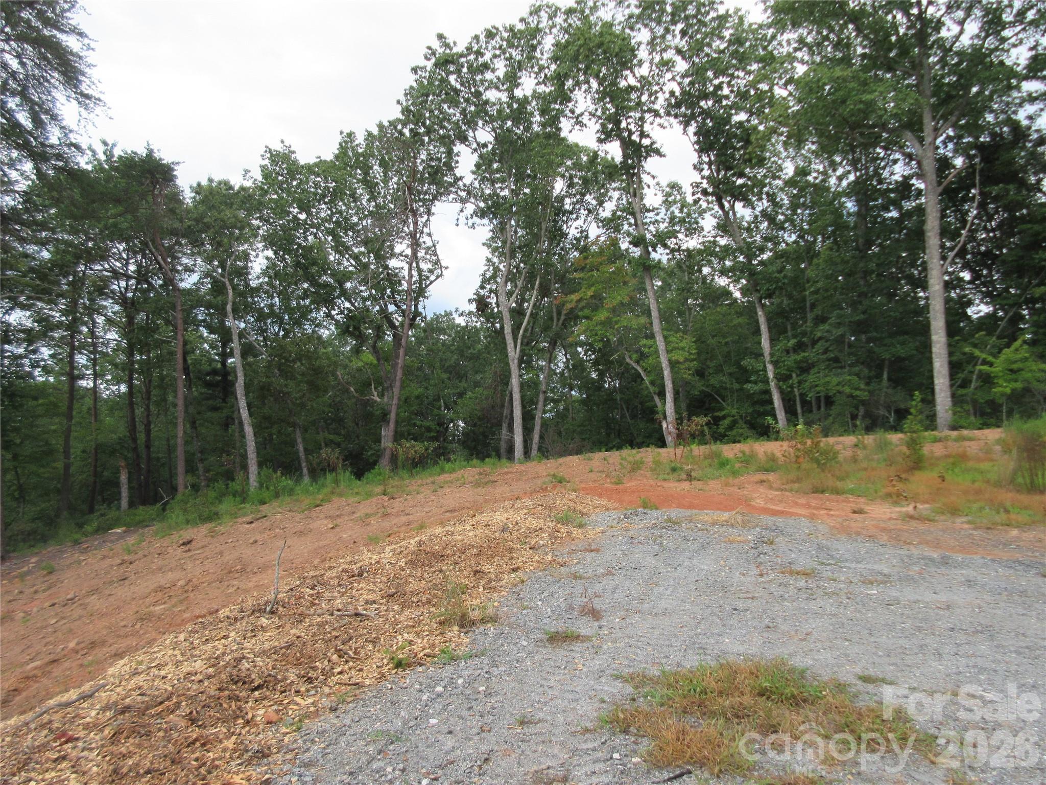 0 Levi Road Property Photo 5