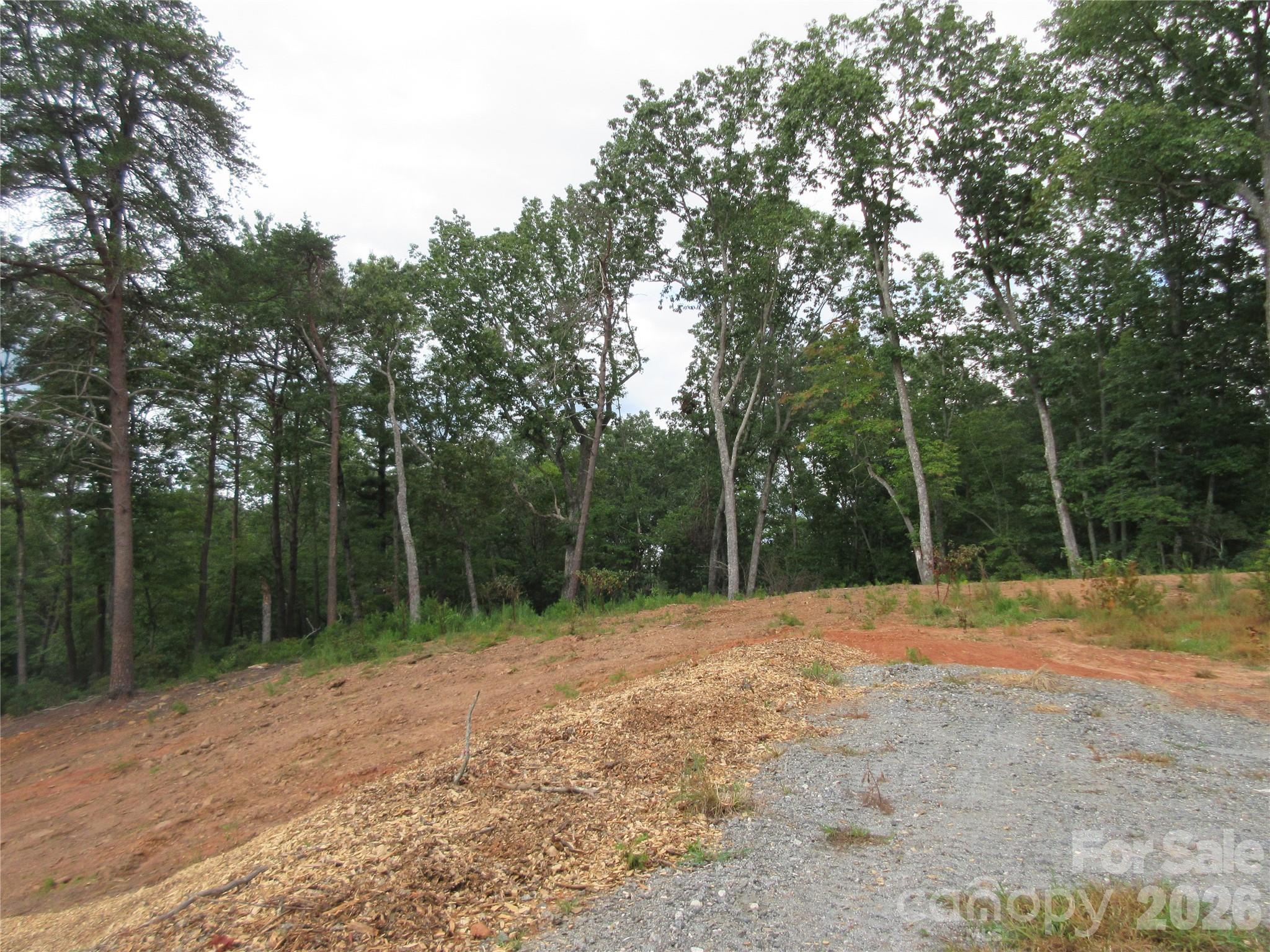 0 Levi Road Property Photo 7