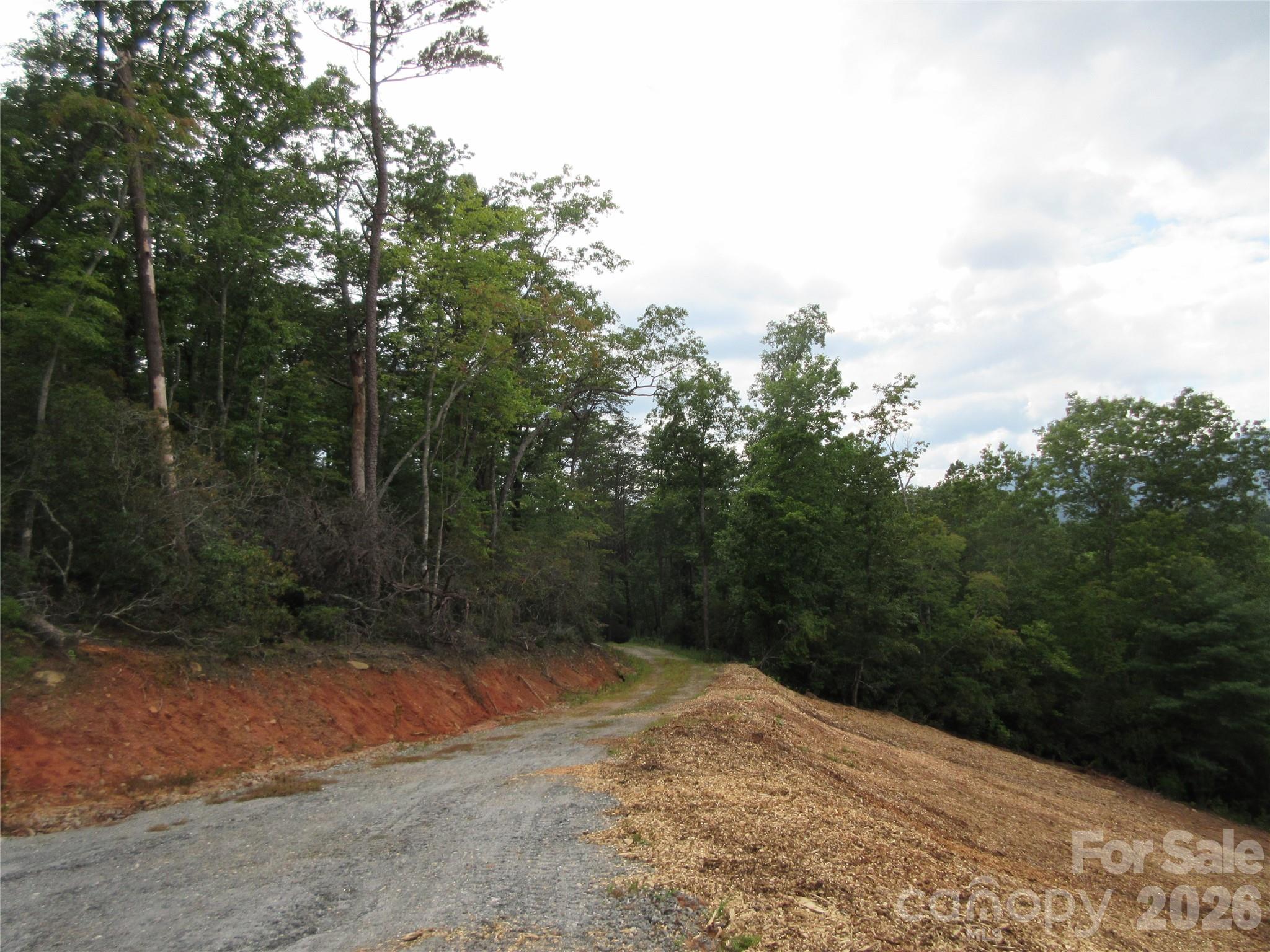 0 Levi Road Property Photo 8
