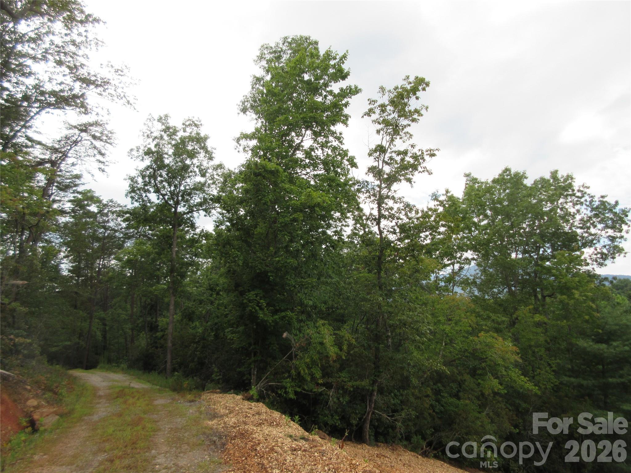 0 Levi Road Property Photo 11