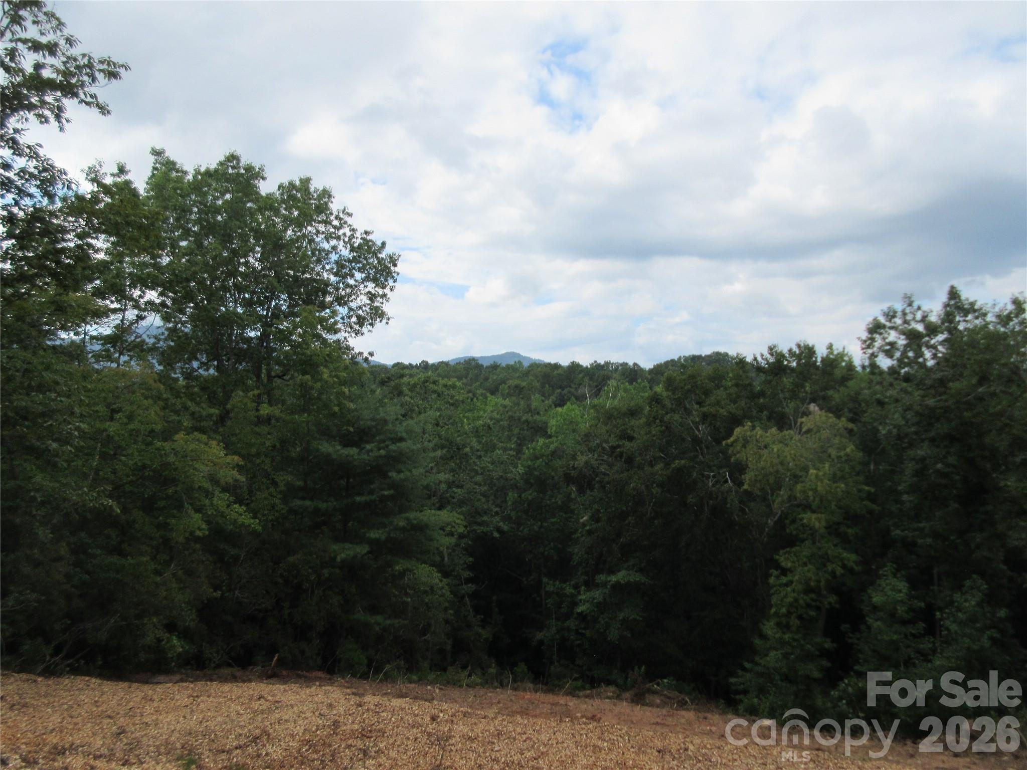 0 Levi Road Property Photo 12