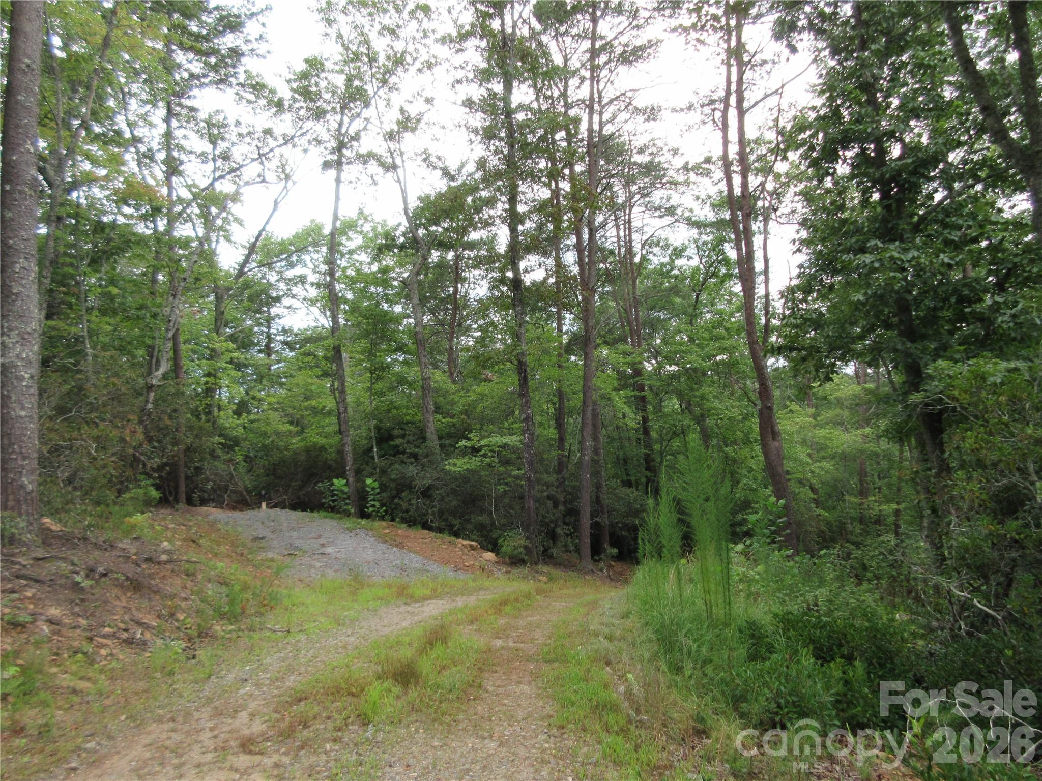 0 Levi Road Property Photo 13