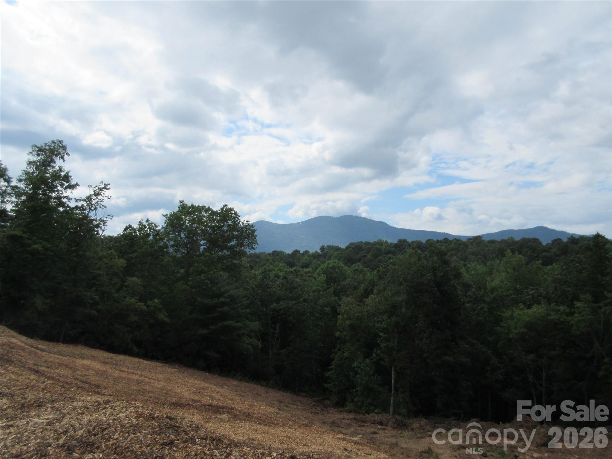 0 Levi Road Property Photo 24