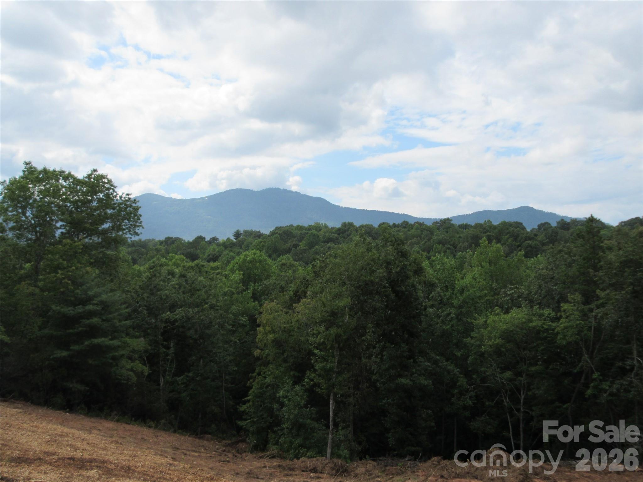 0 Levi Road Property Photo 25
