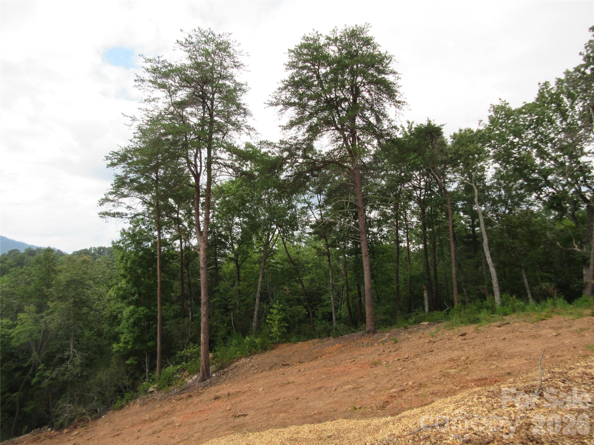 0 Levi Road Property Photo 28
