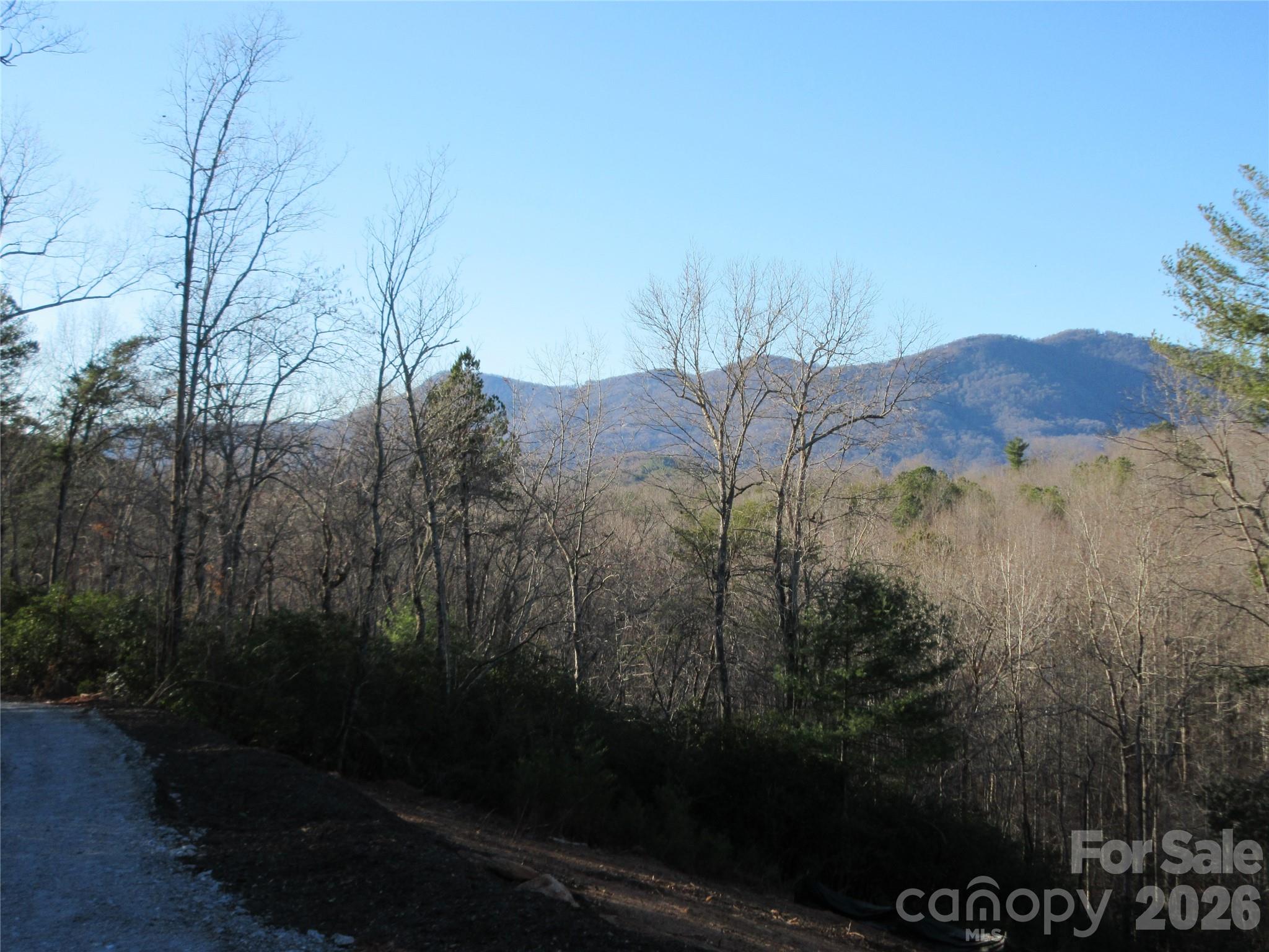 0 Levi Road Property Photo 35
