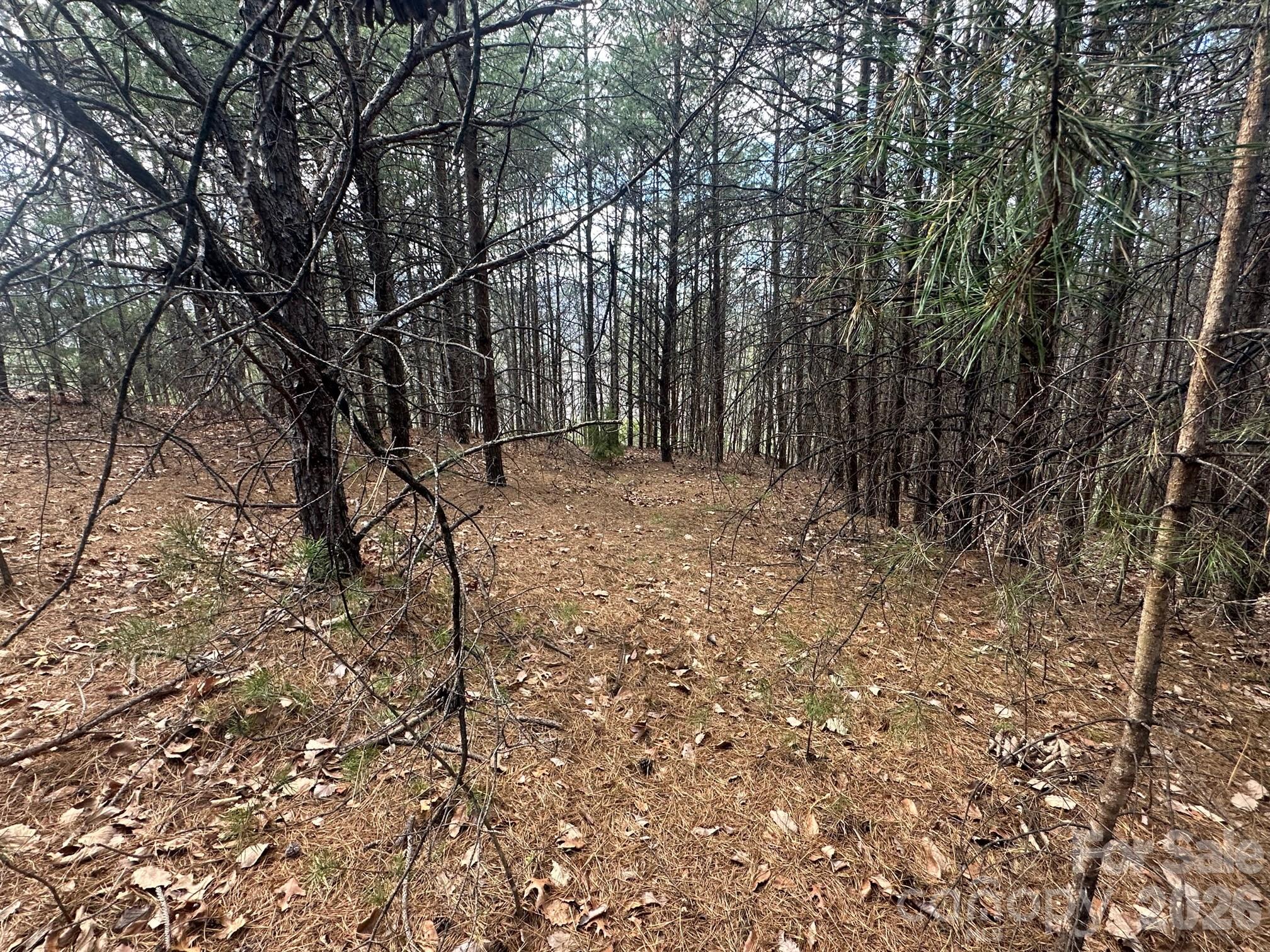 0000 Boulder Ridge Property Photo 3