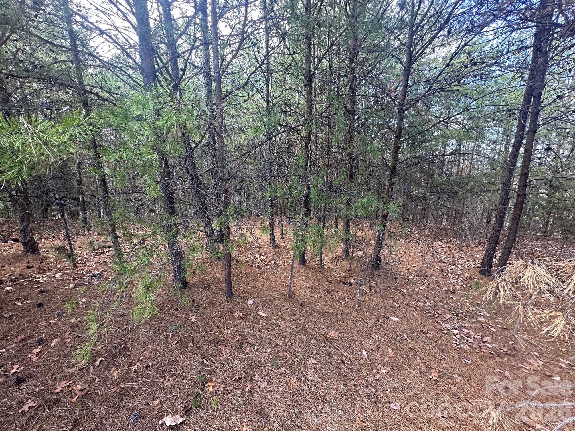 0000 Boulder Ridge Property Photo 8