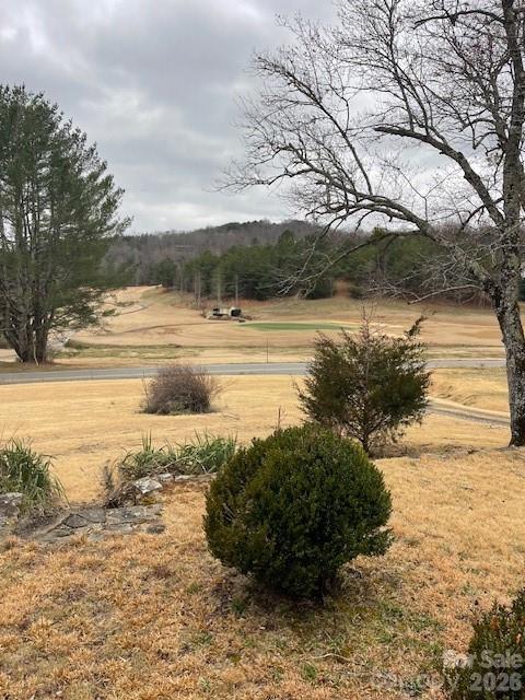 598 Buffalo Creek Road Property Photo 3