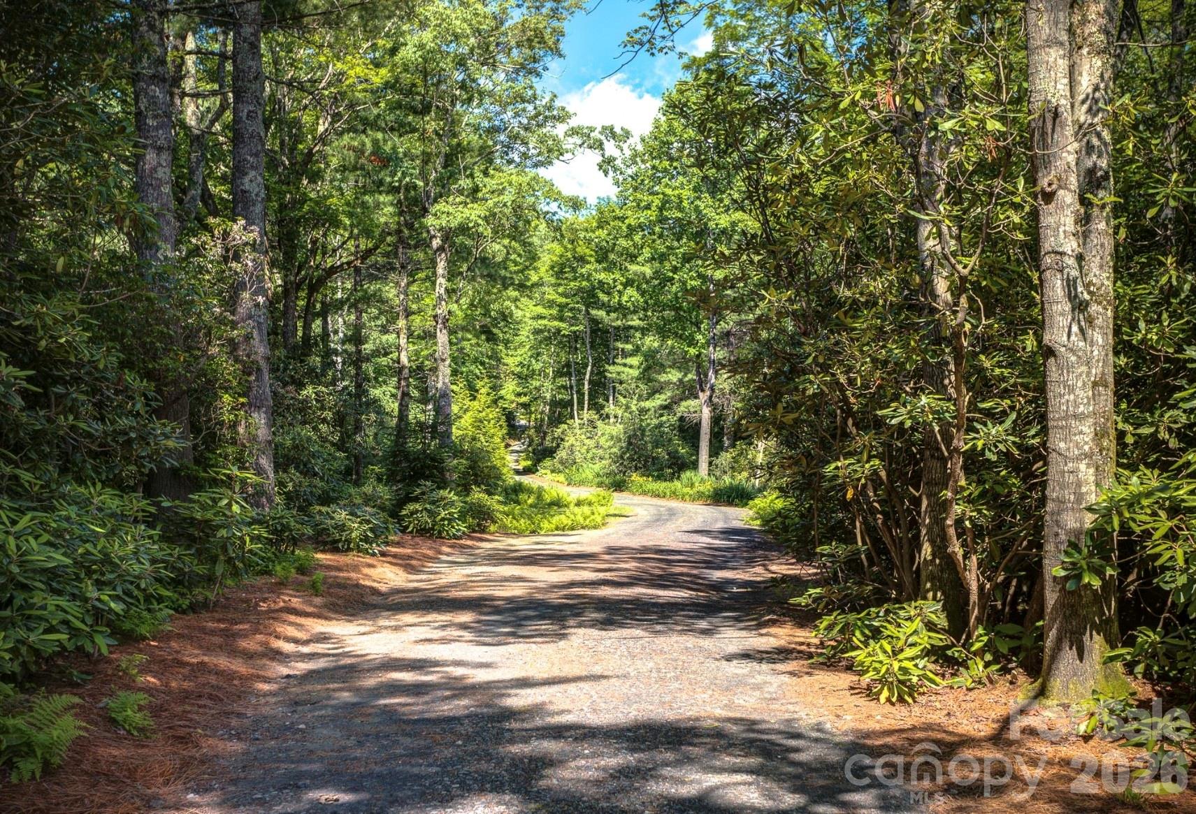 3434 Old Jonas Ridge Road Property Photo 46