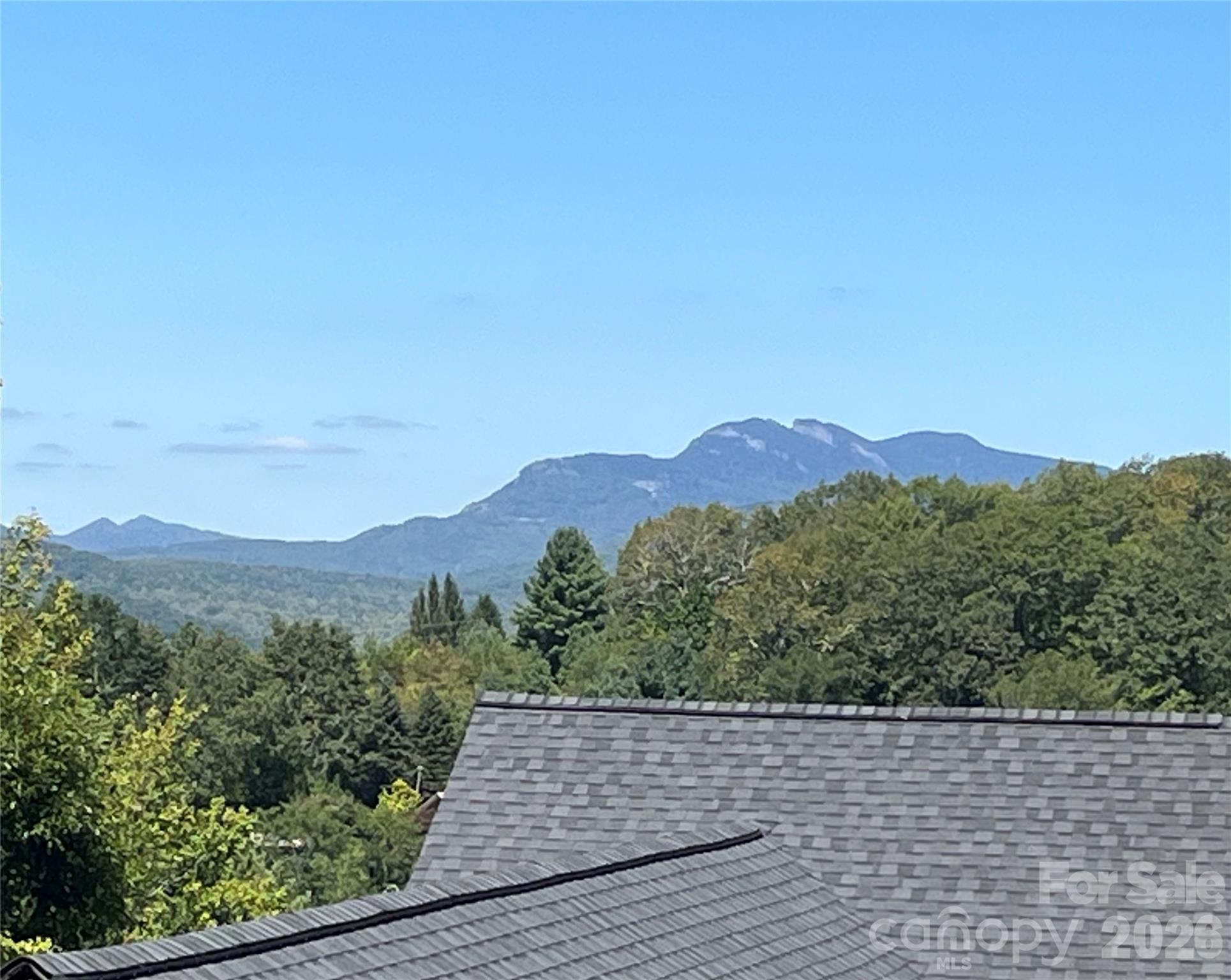 3434 Old Jonas Ridge Road Property Photo 48