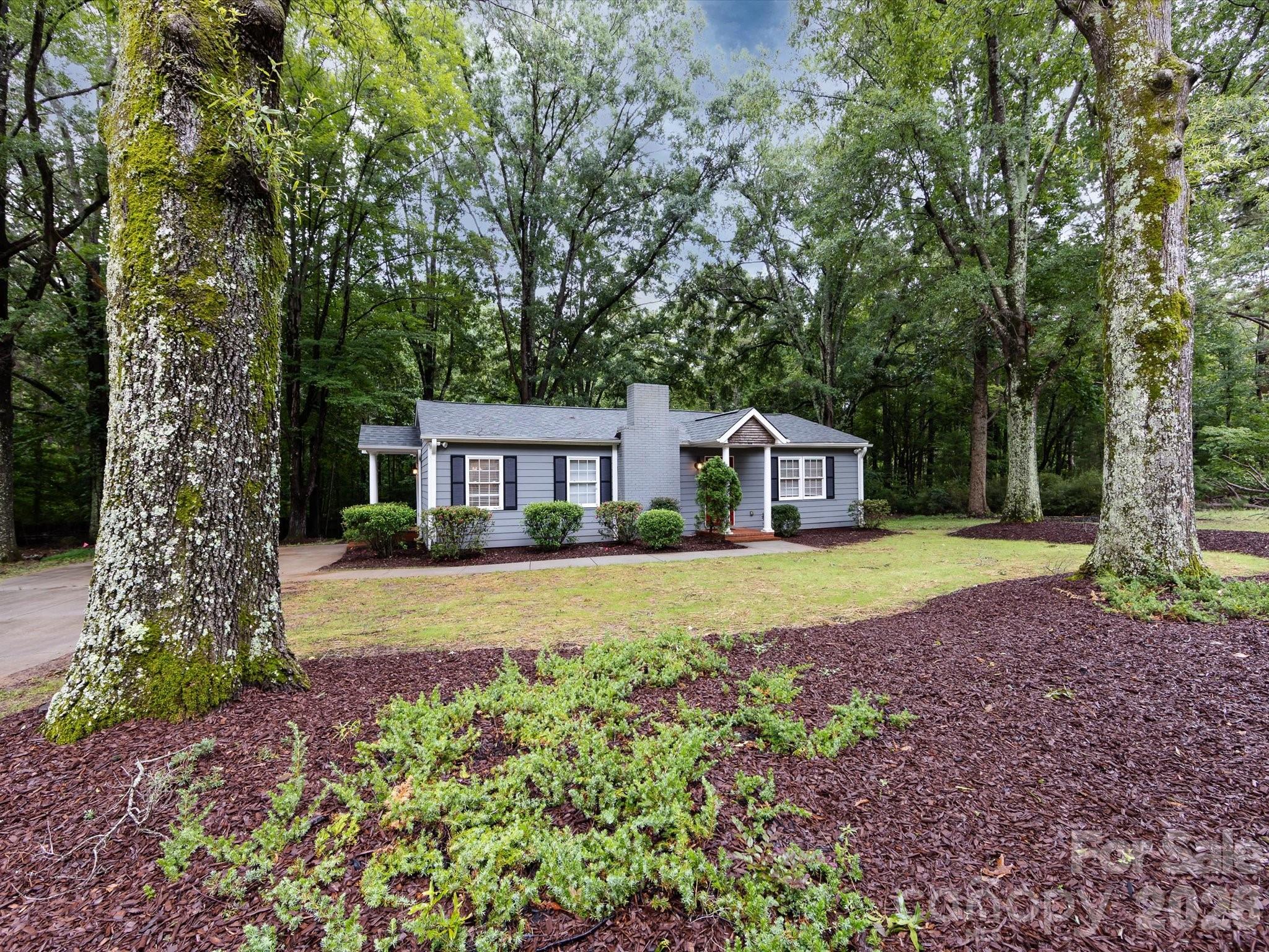 3109 Forest Lawn Drive Property Photo 1