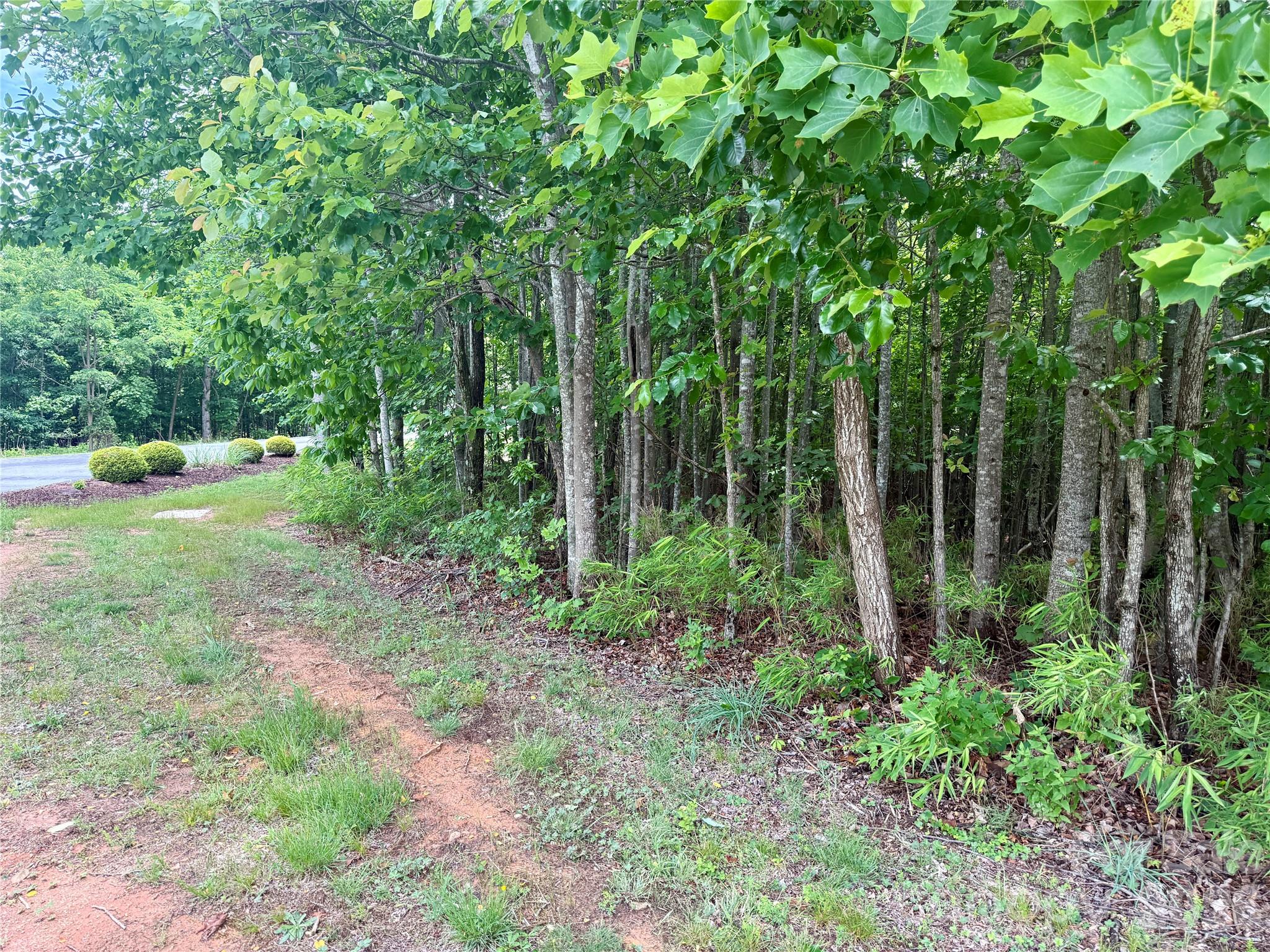 V/l Scenic Vista Drive 248 Property Photo 13