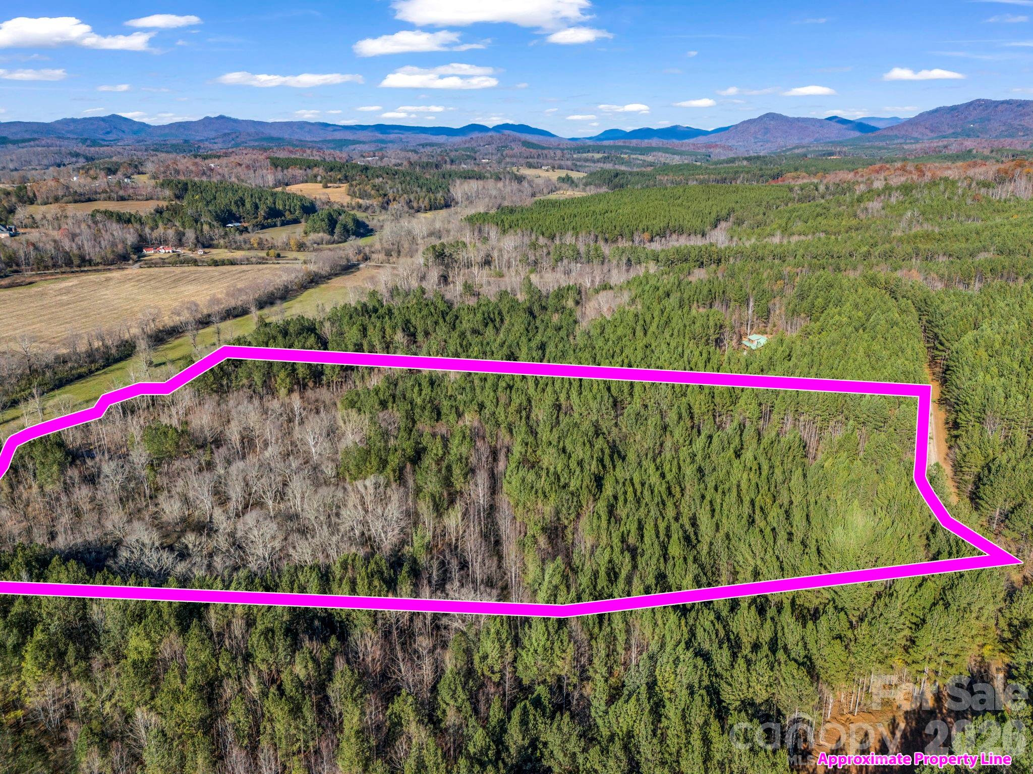 0 Farmer Johns Trail 9 Property Photo 1