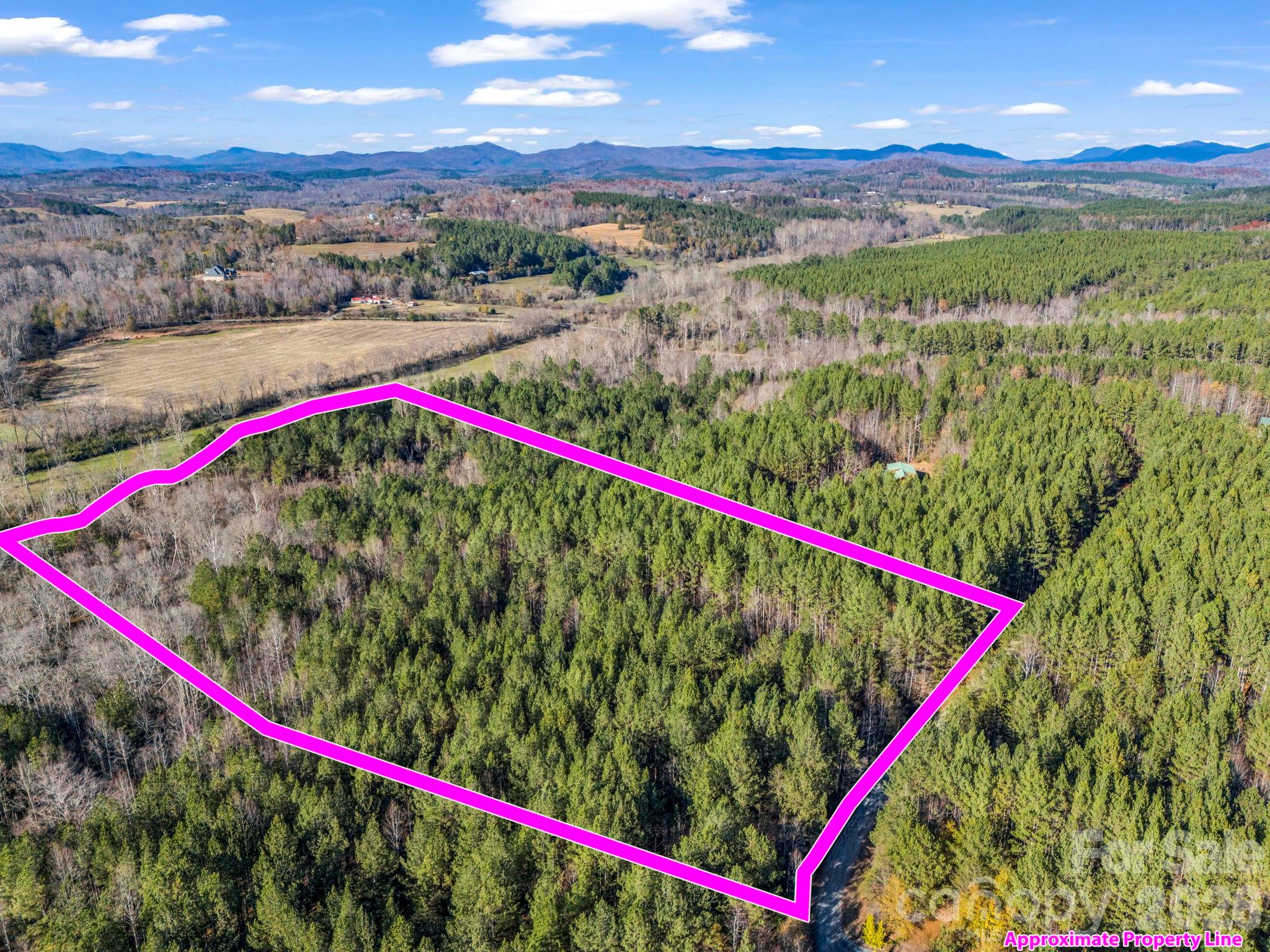 0 Farmer Johns Trail 9 Property Photo 2