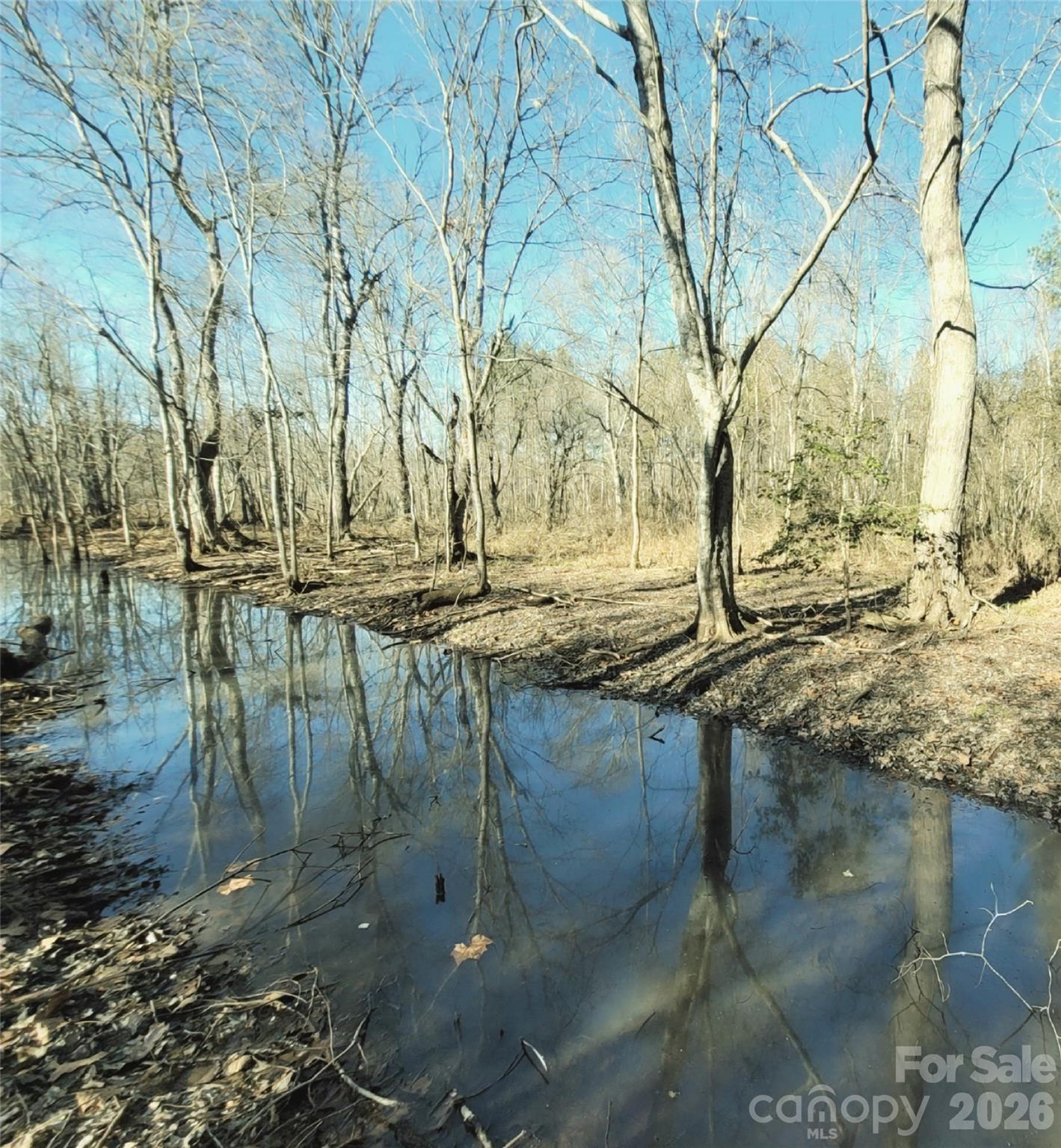 0 Farmer Johns Trail 9 Property Photo 4