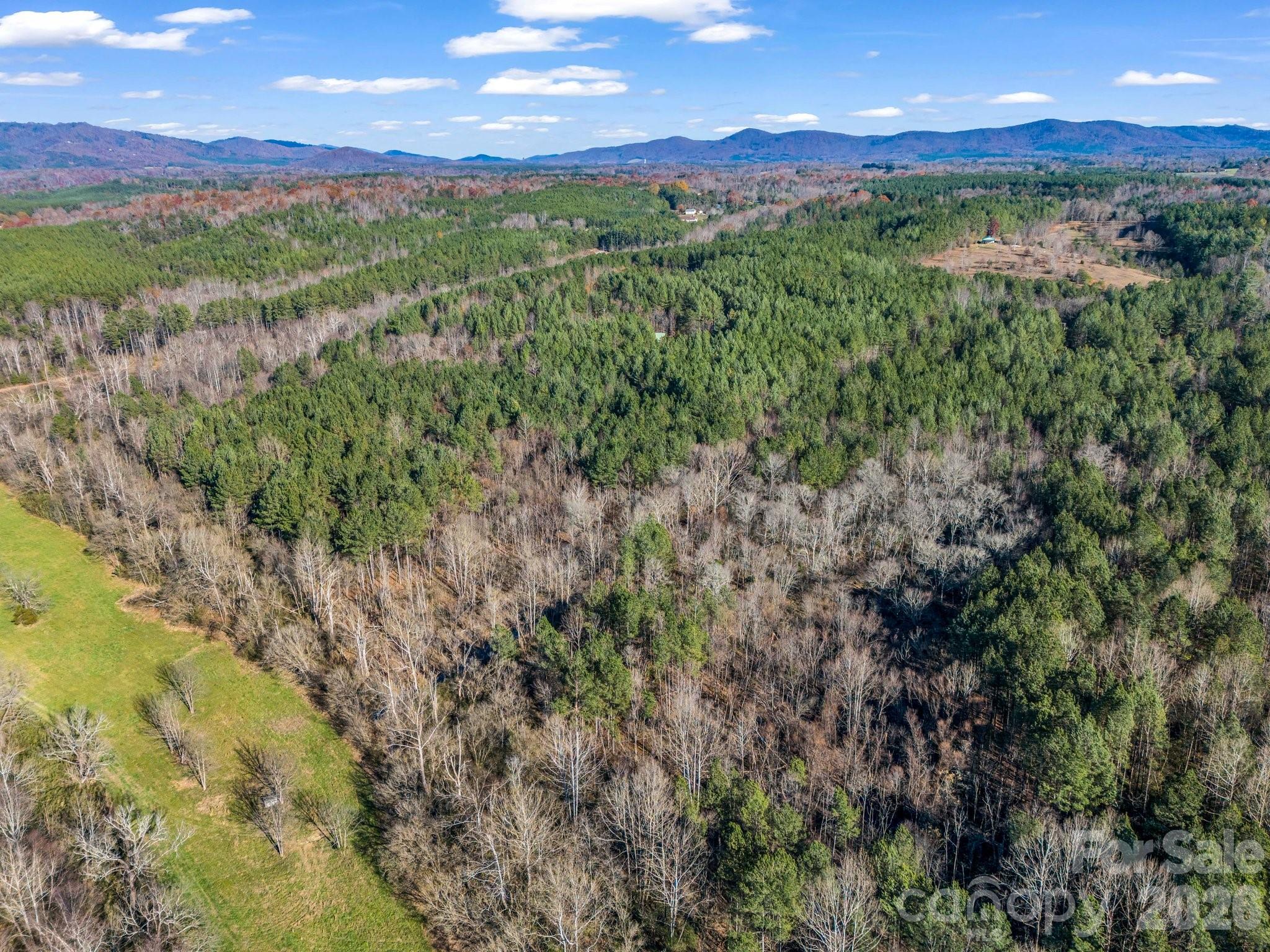 0 Farmer Johns Trail 9 Property Photo 5