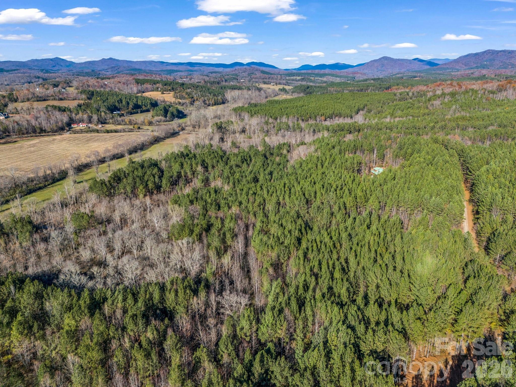 0 Farmer Johns Trail 9 Property Photo 6