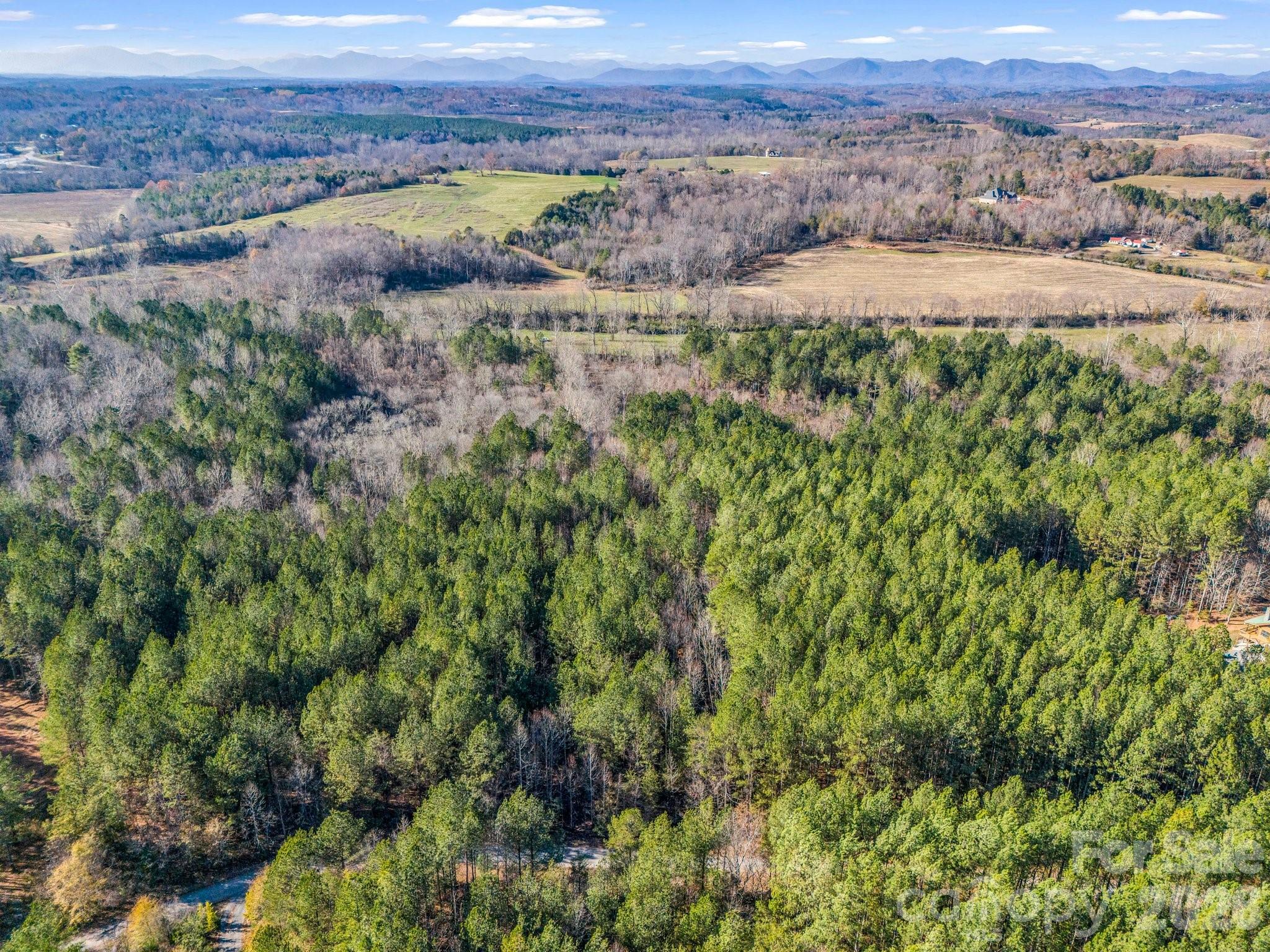 0 Farmer Johns Trail 9 Property Photo 7