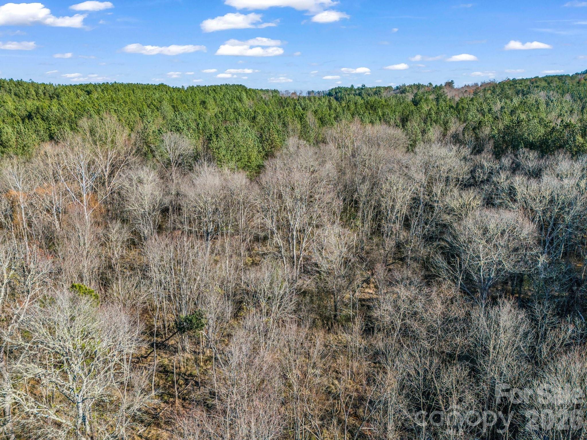 0 Farmer Johns Trail 9 Property Photo 13