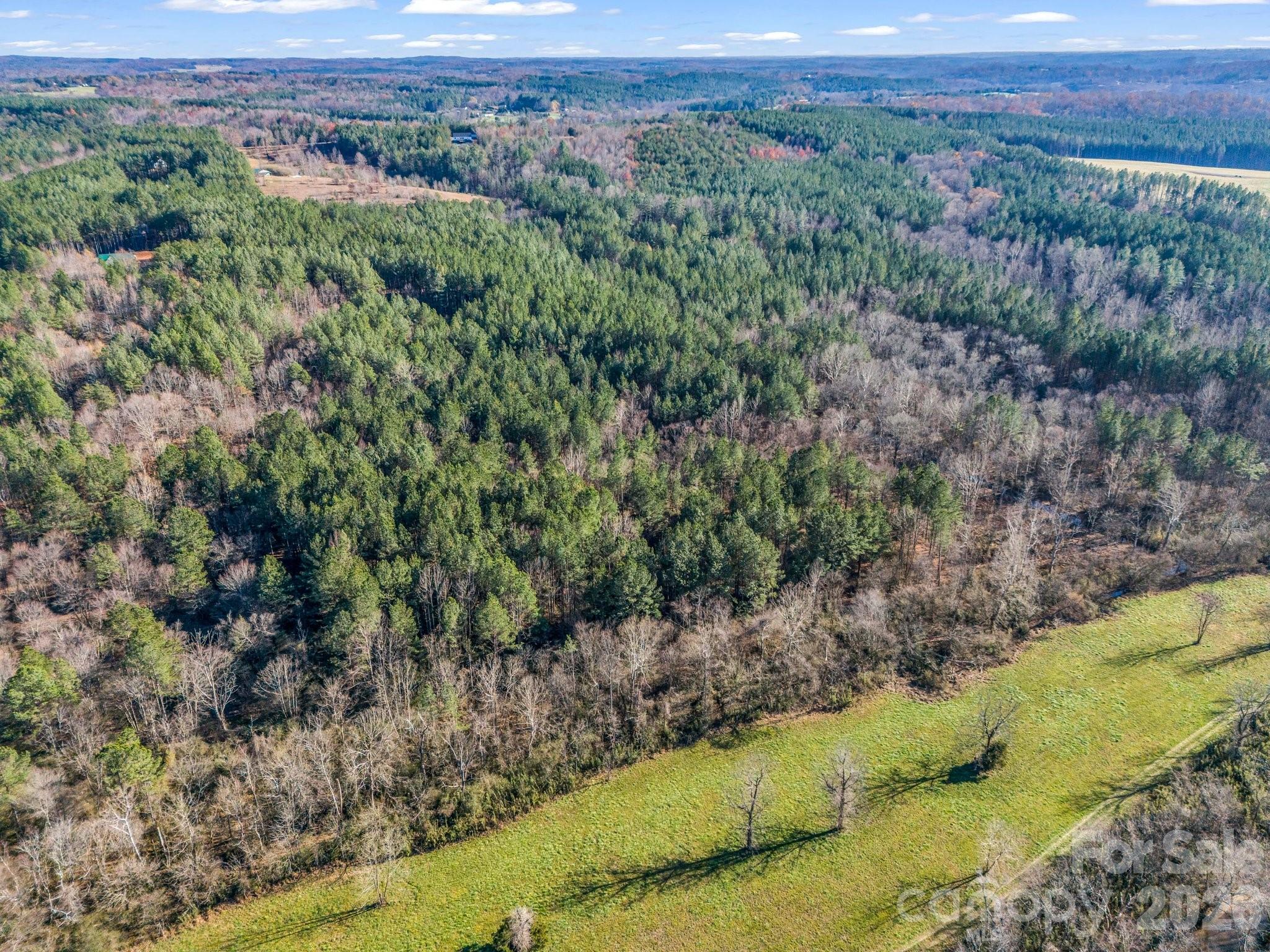 0 Farmer Johns Trail 9 Property Photo 16