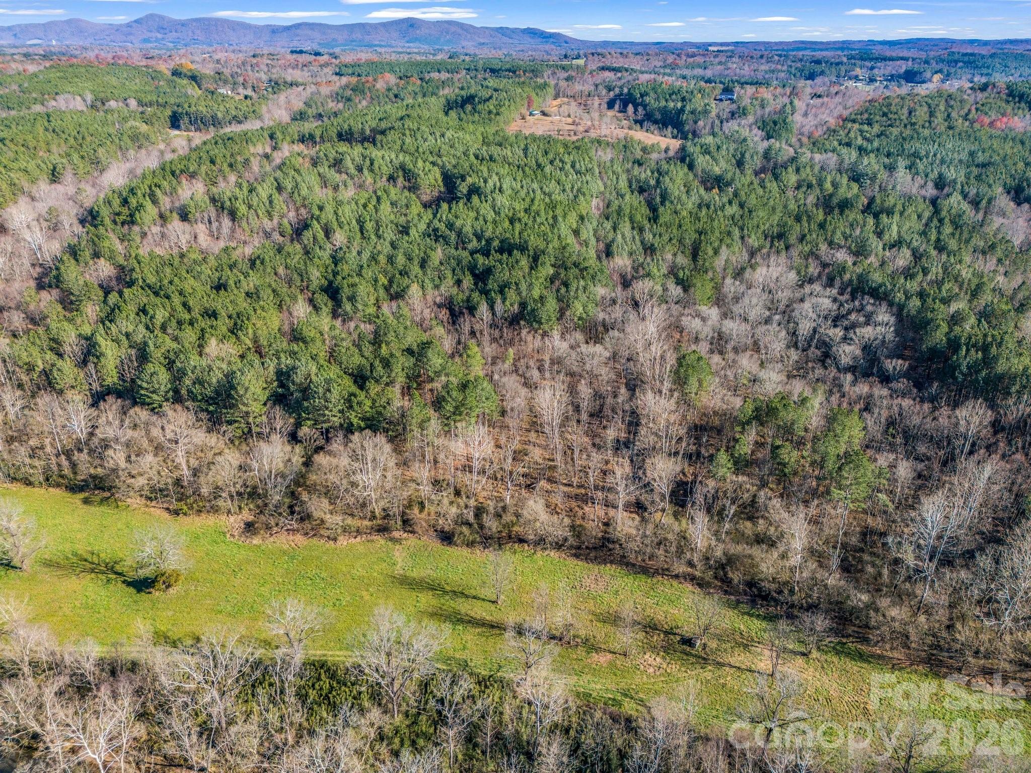 0 Farmer Johns Trail 9 Property Photo 17