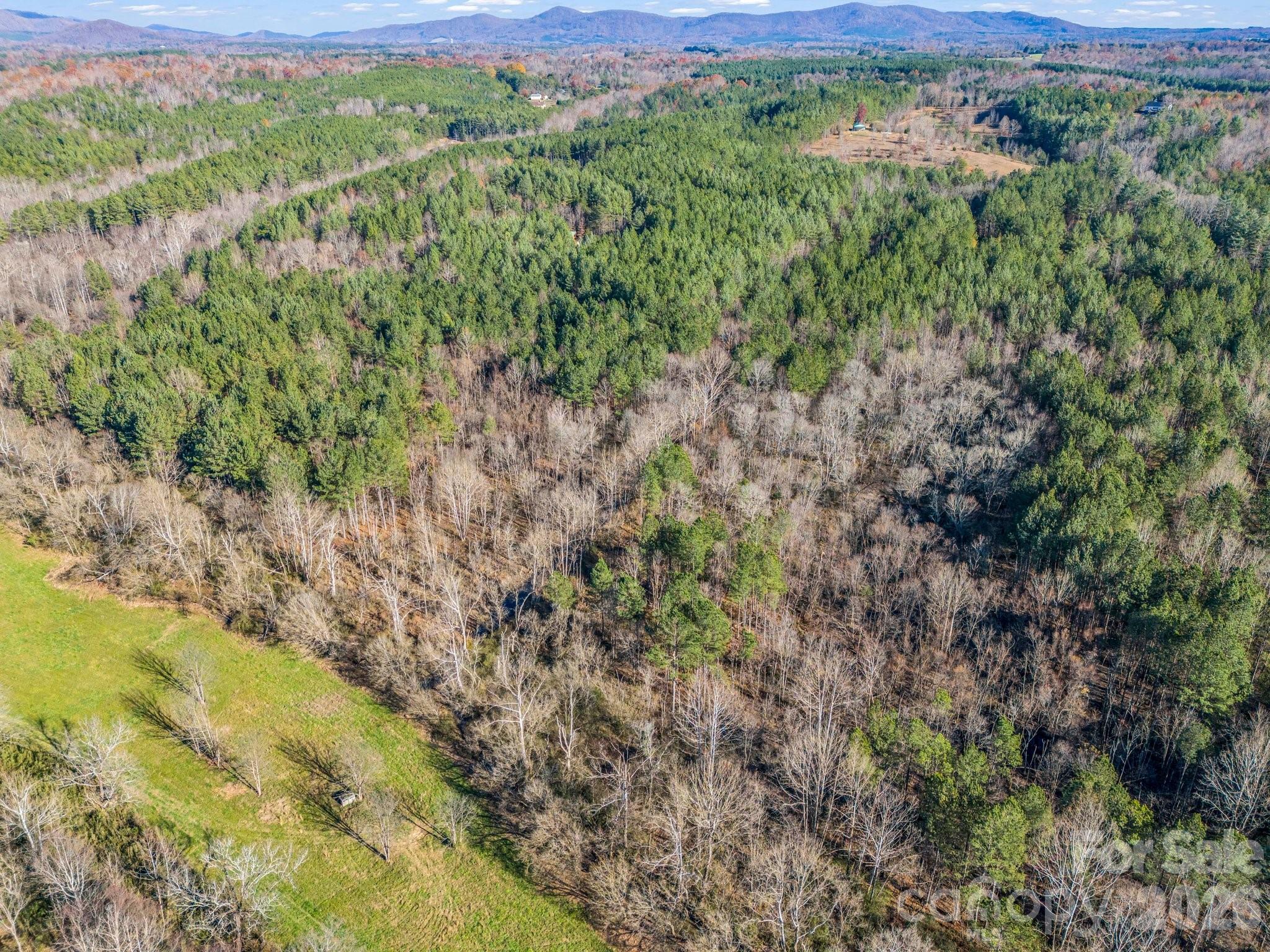 0 Farmer Johns Trail 9 Property Photo 18