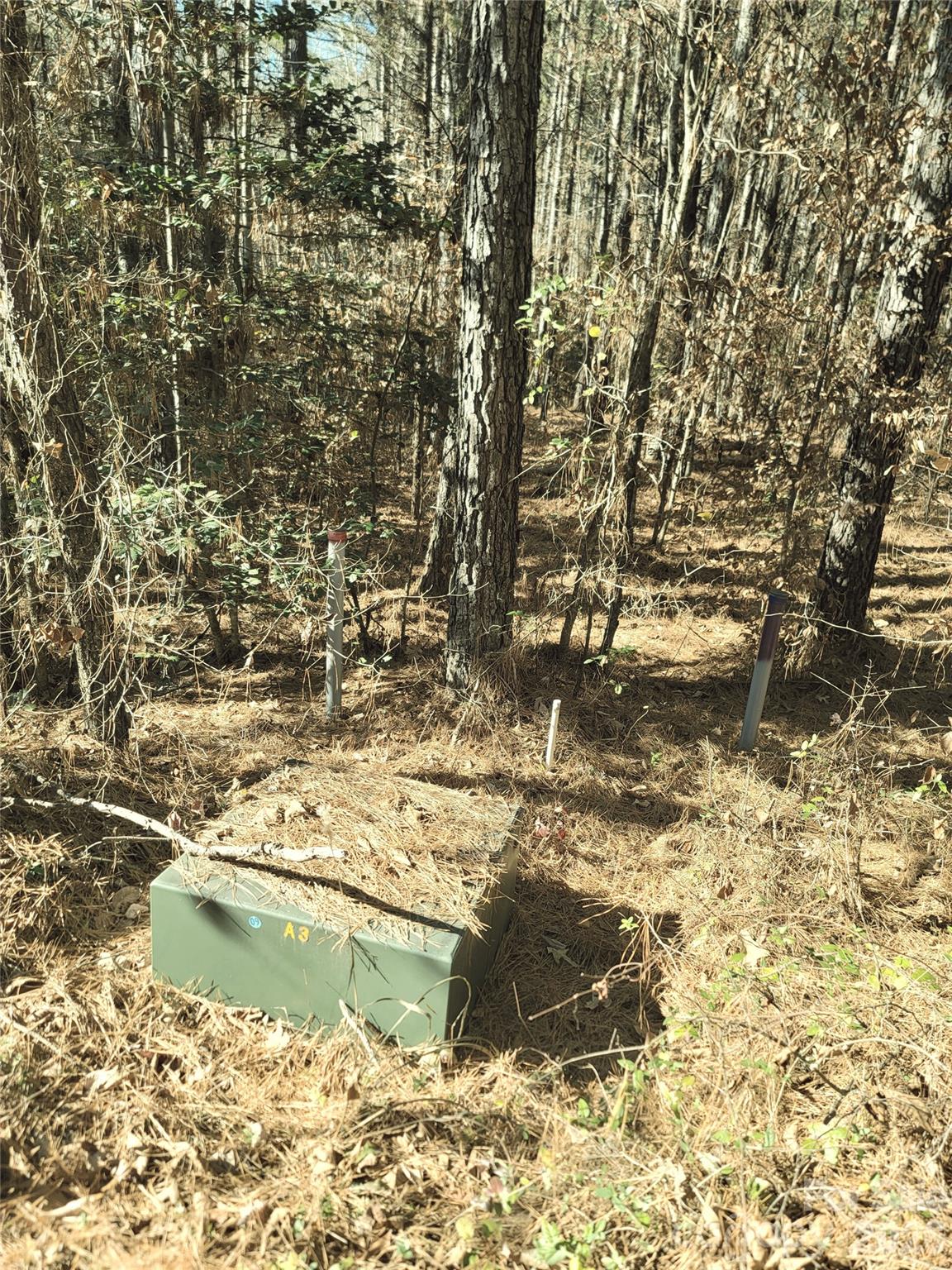 0 Farmer Johns Trail 9 Property Photo 23