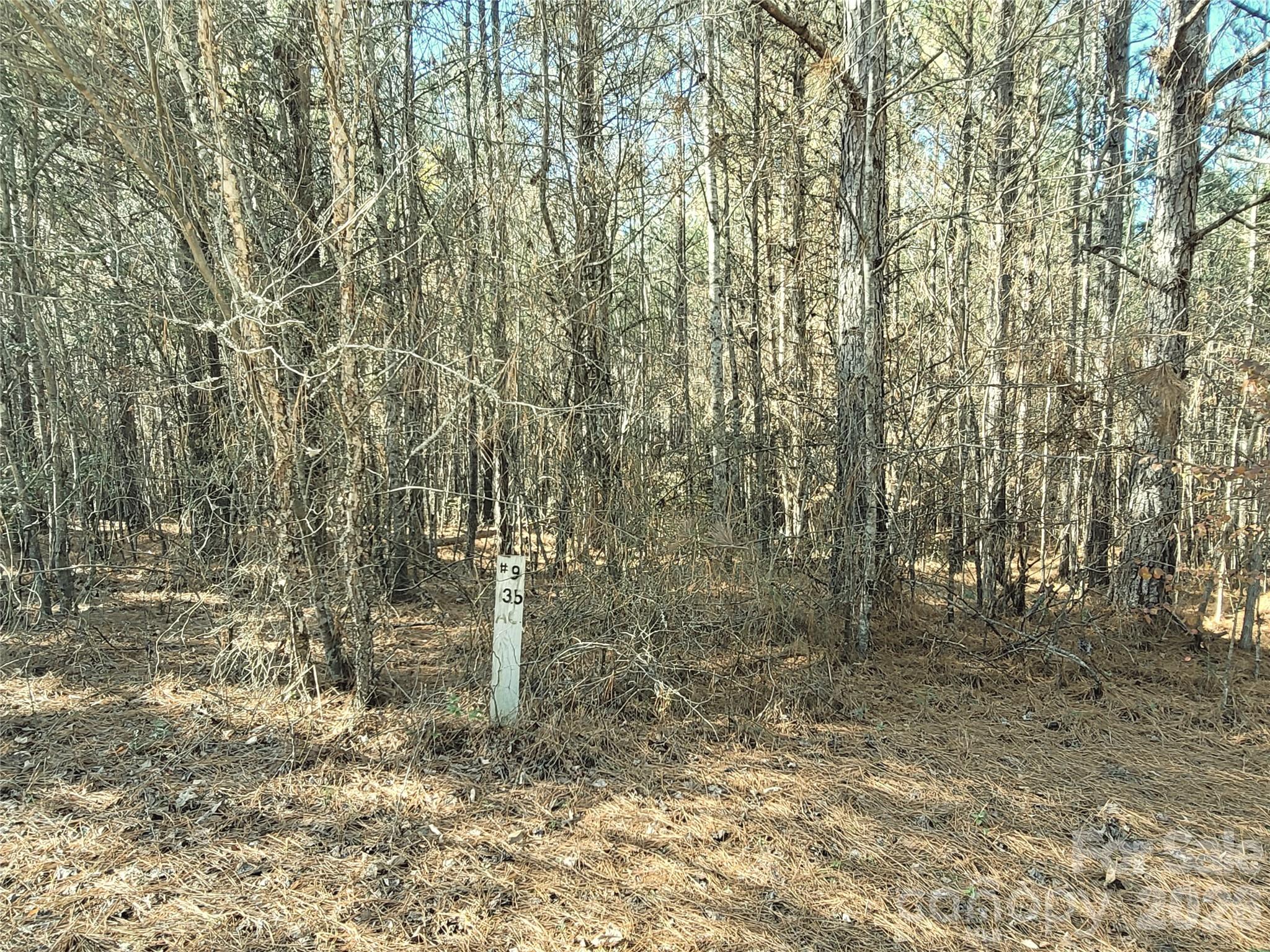 0 Farmer Johns Trail 9 Property Photo 24