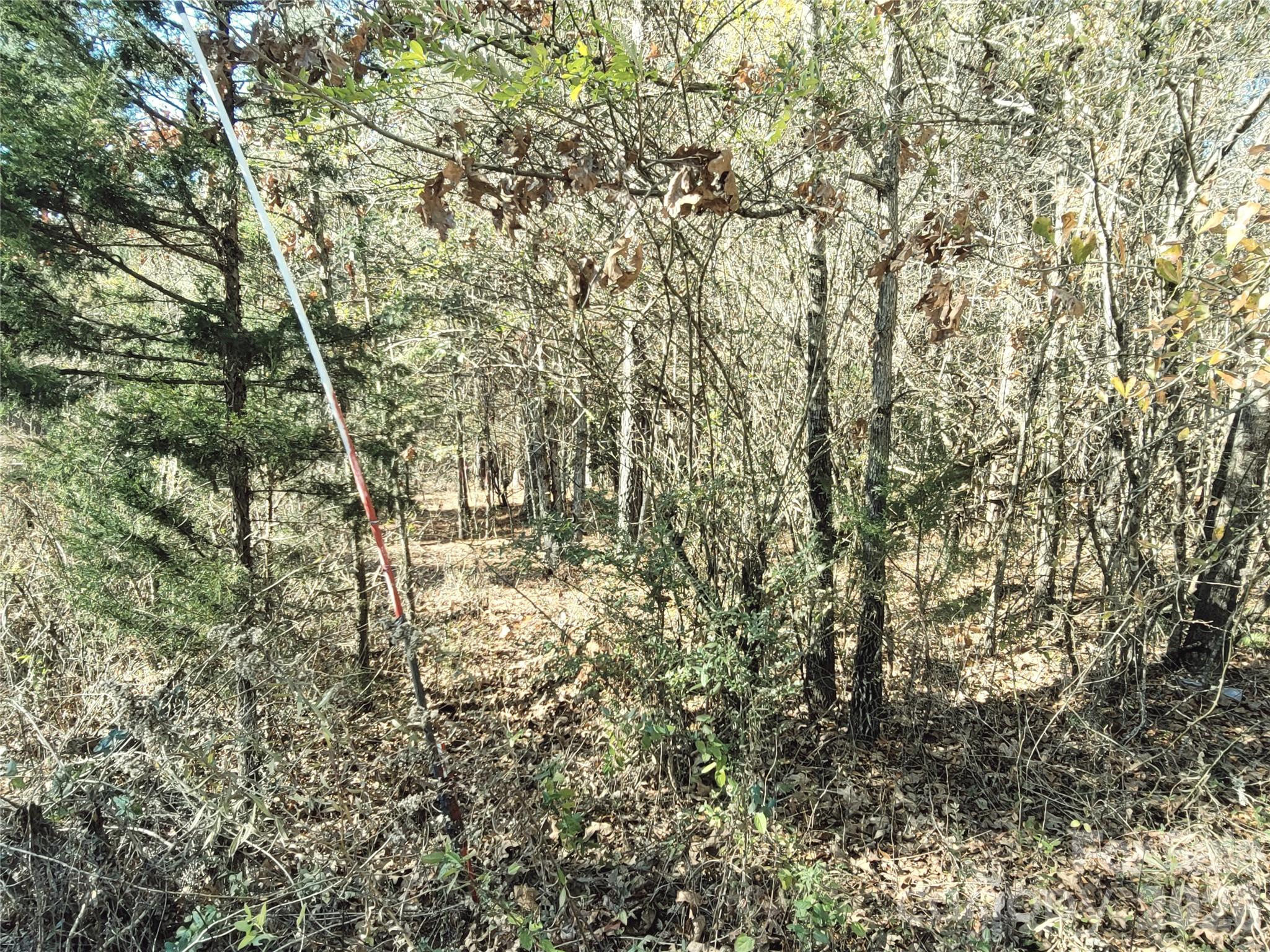 0 Farmer Johns Trail 9 Property Photo 25